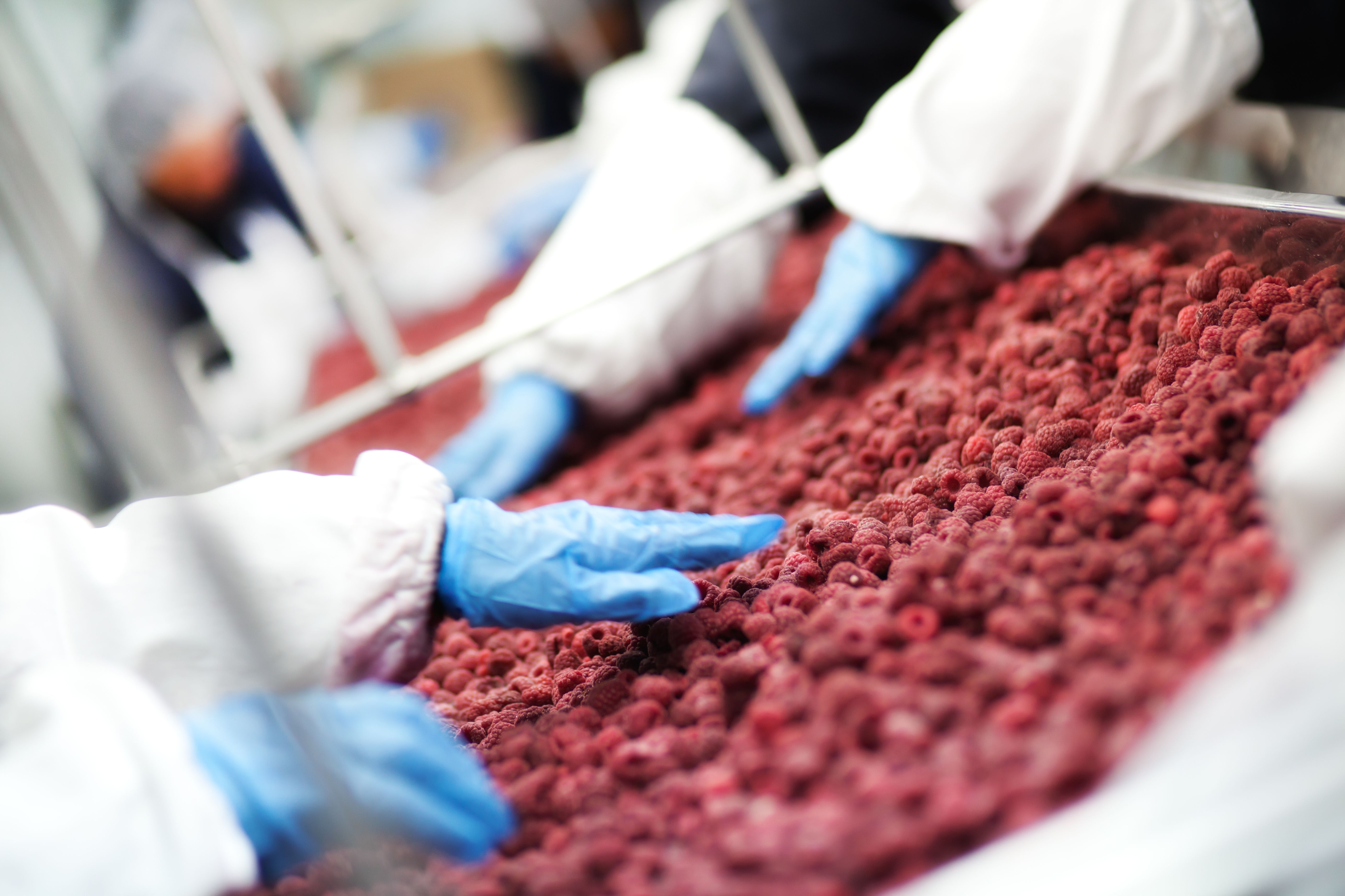 food processing