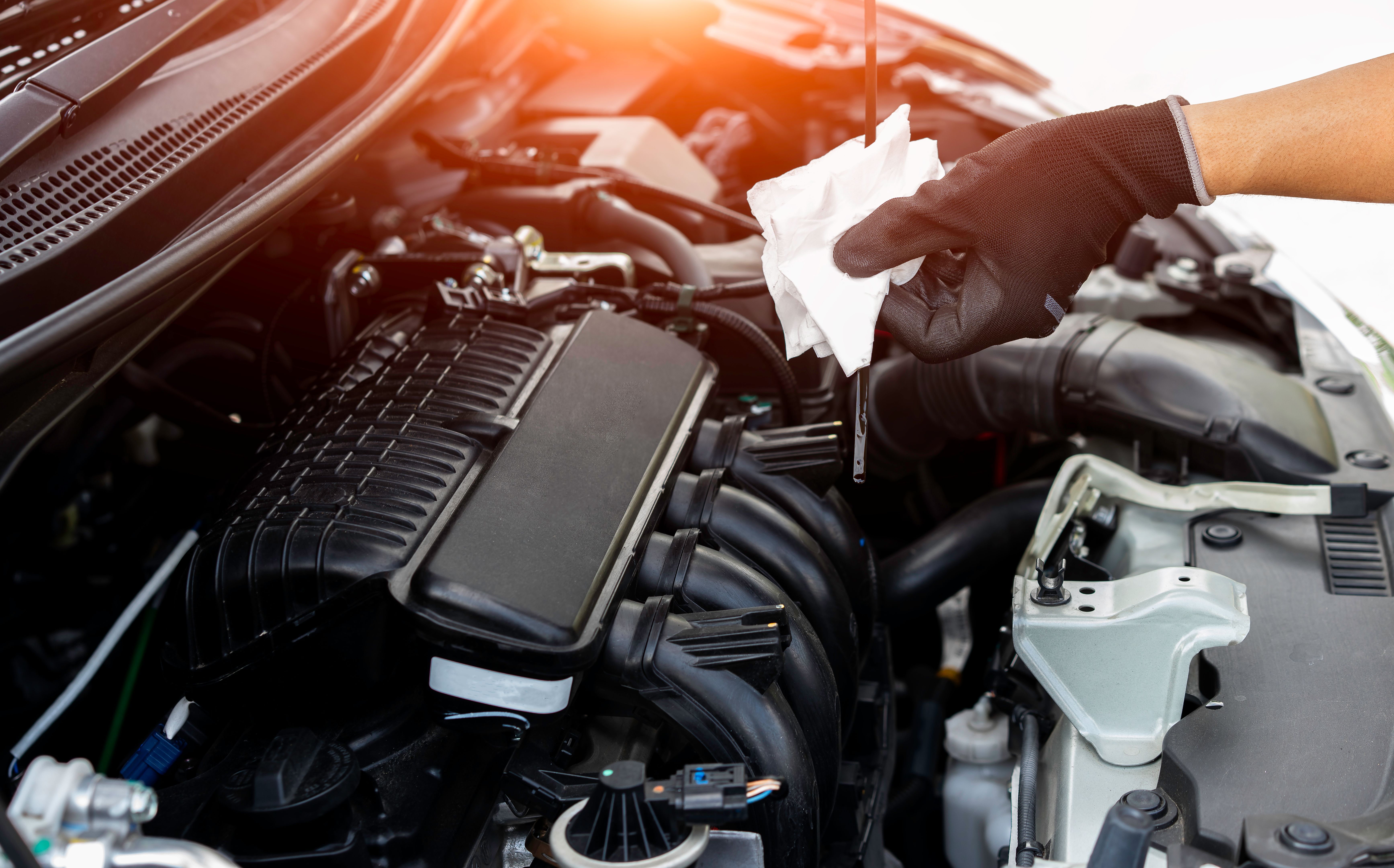 humid climate vehicle maintenance