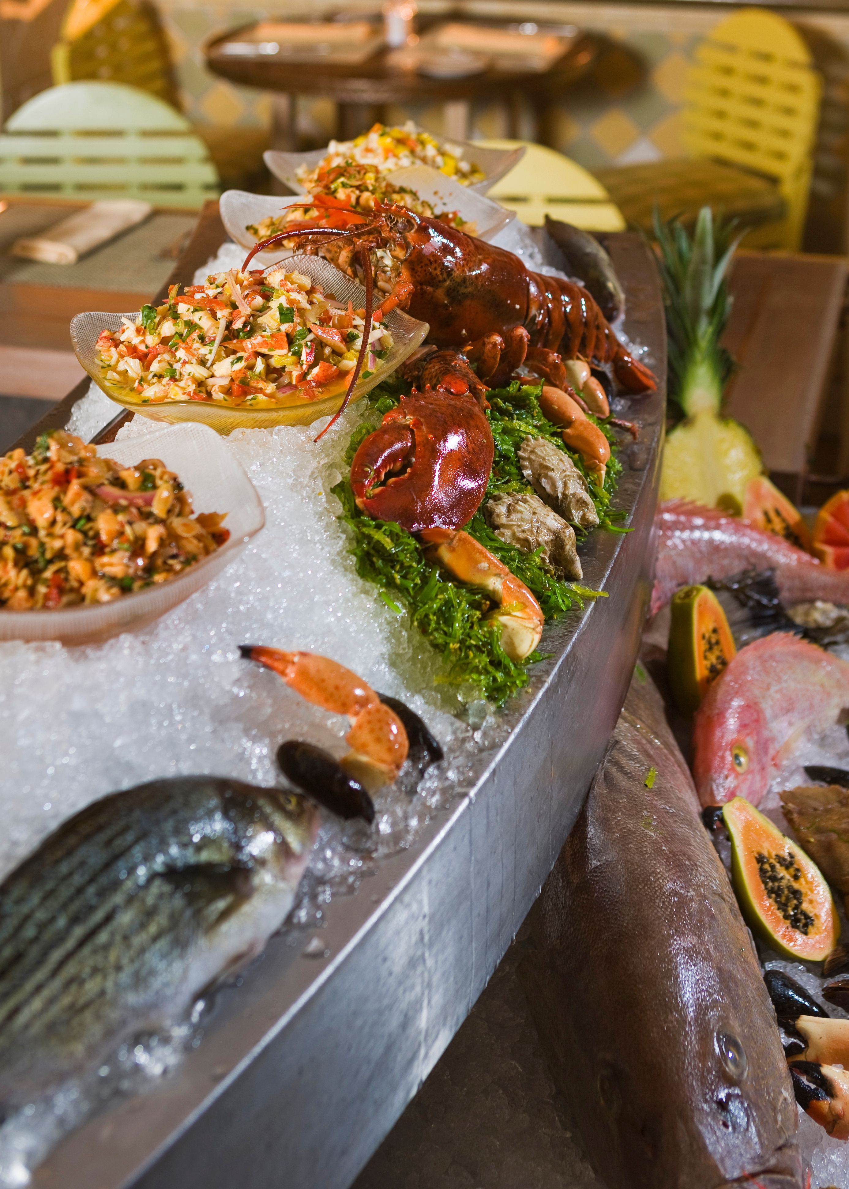 Fresh Fish Fresh Fish