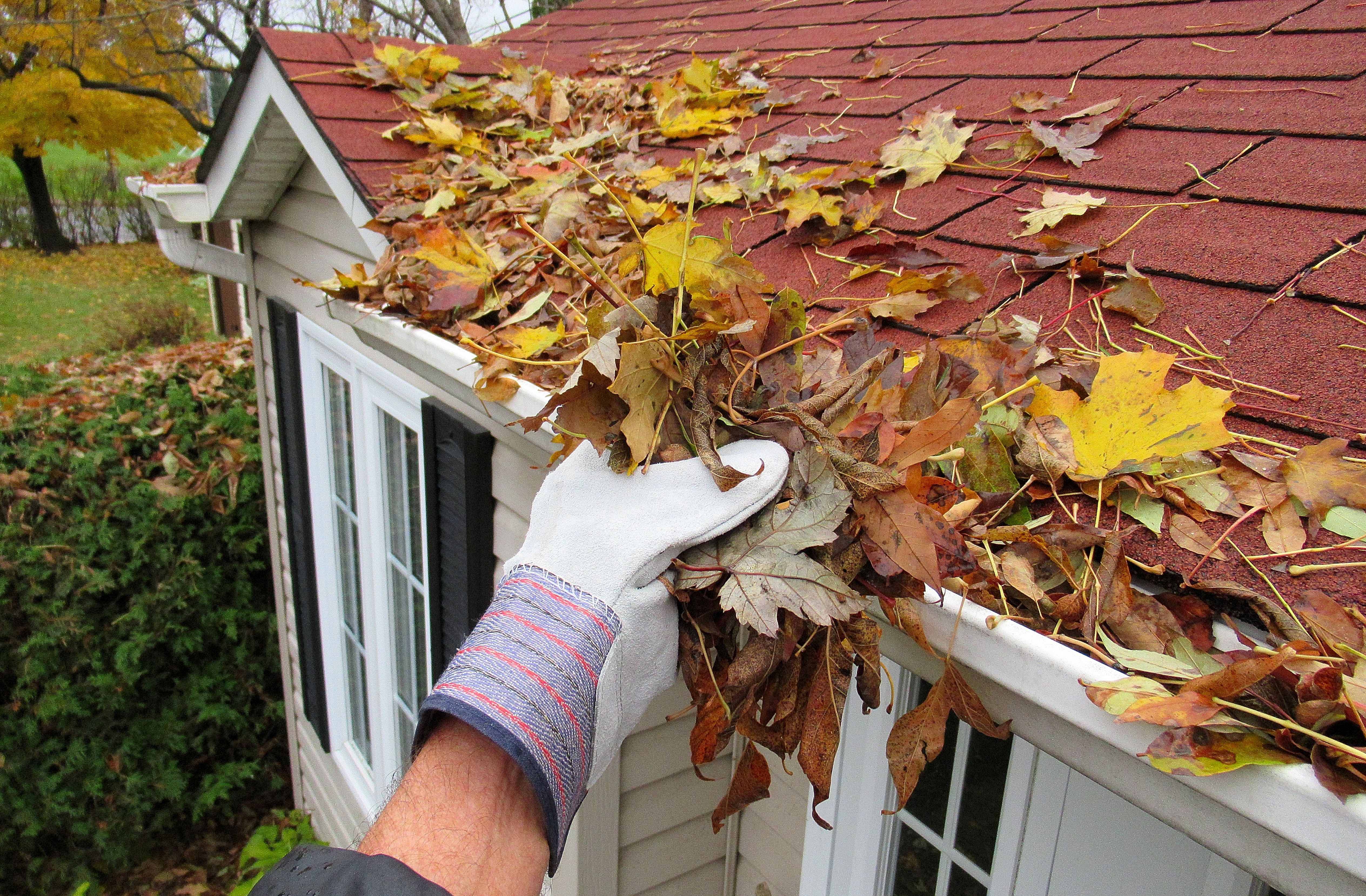 fall maintenance