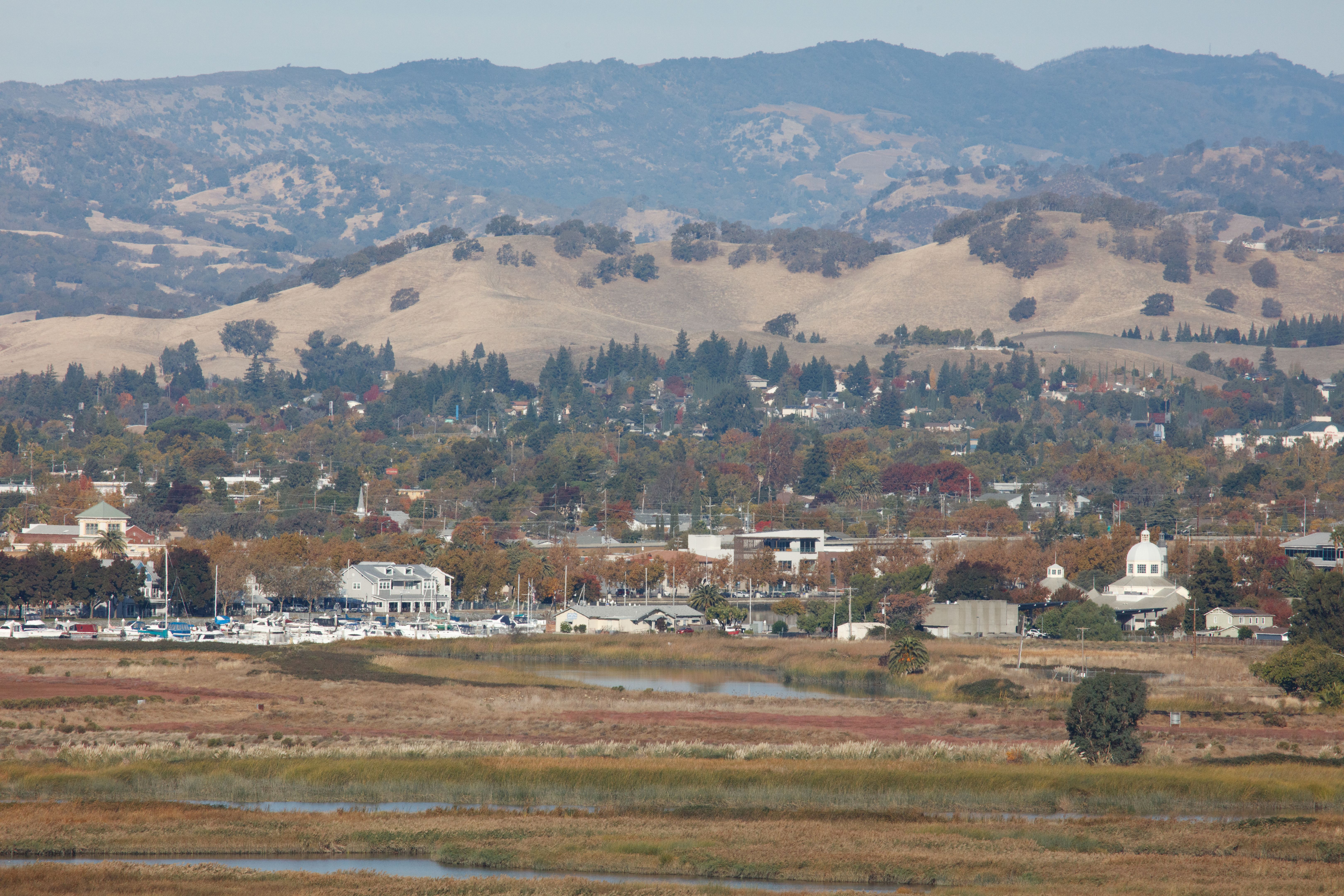 solano county creativity