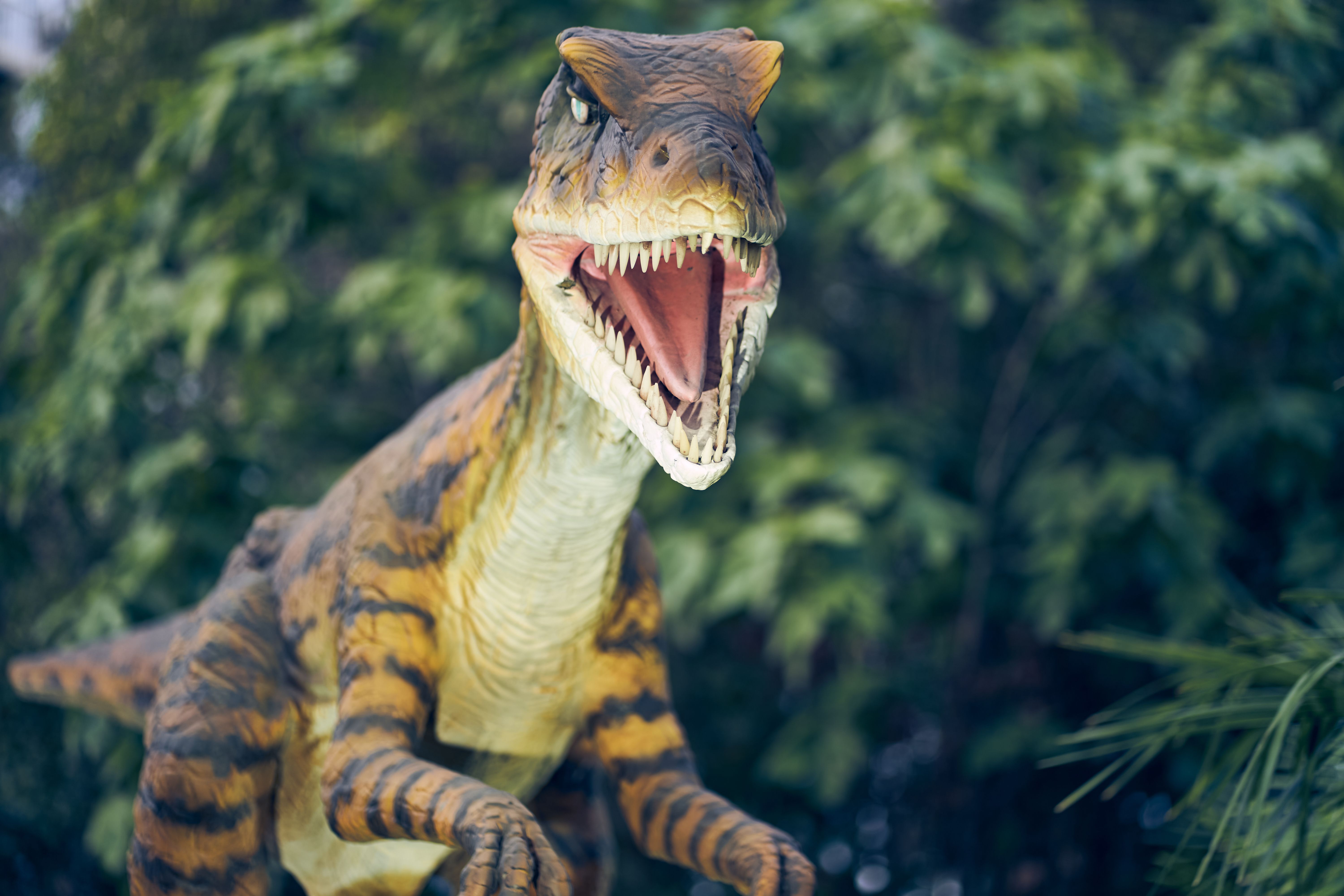 Veloceraptors are classified as common species, characterized by dexterity, thin and slender physique, as well as excellent nose. With space to copy