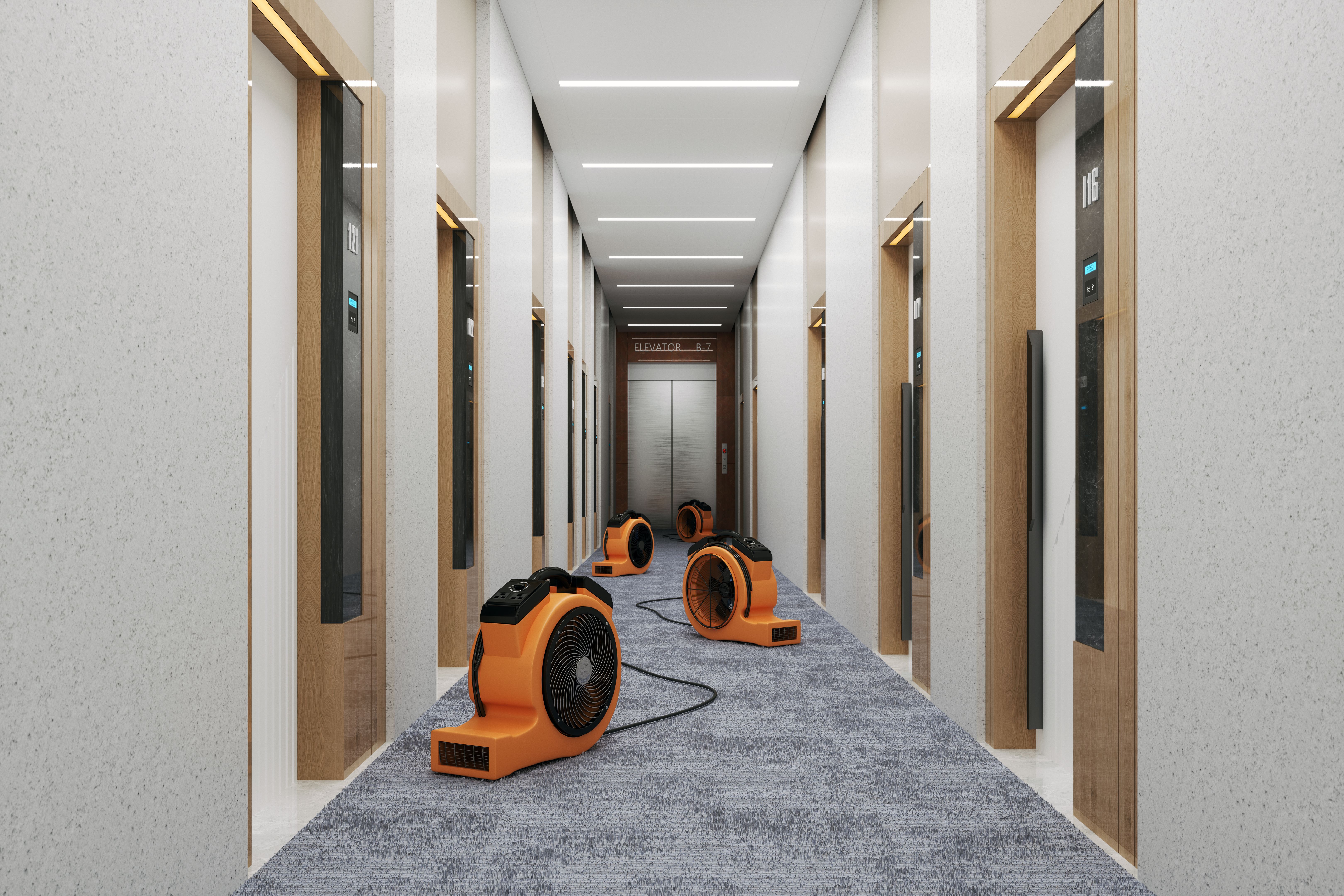drying carpet