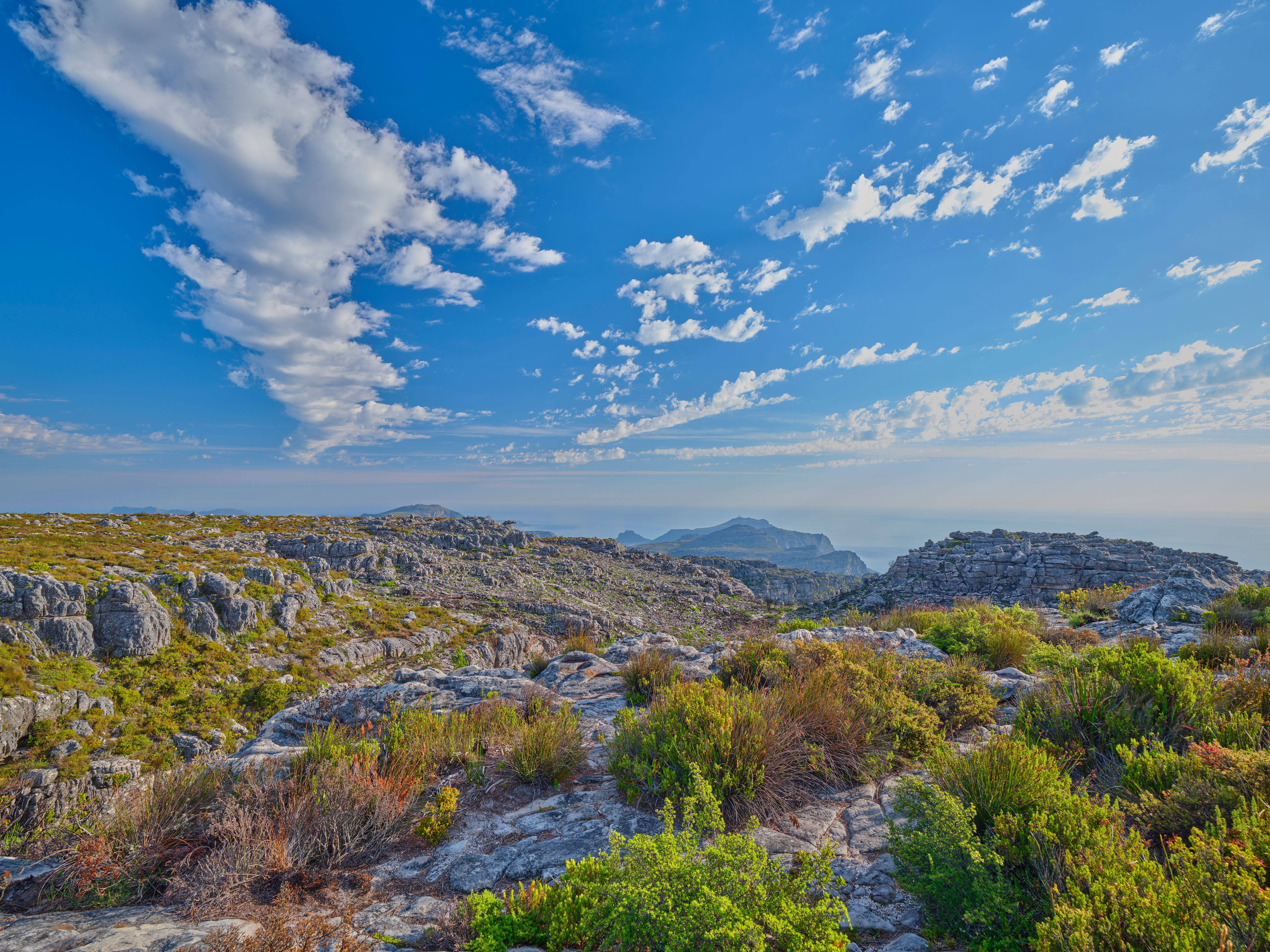 ankarana national park