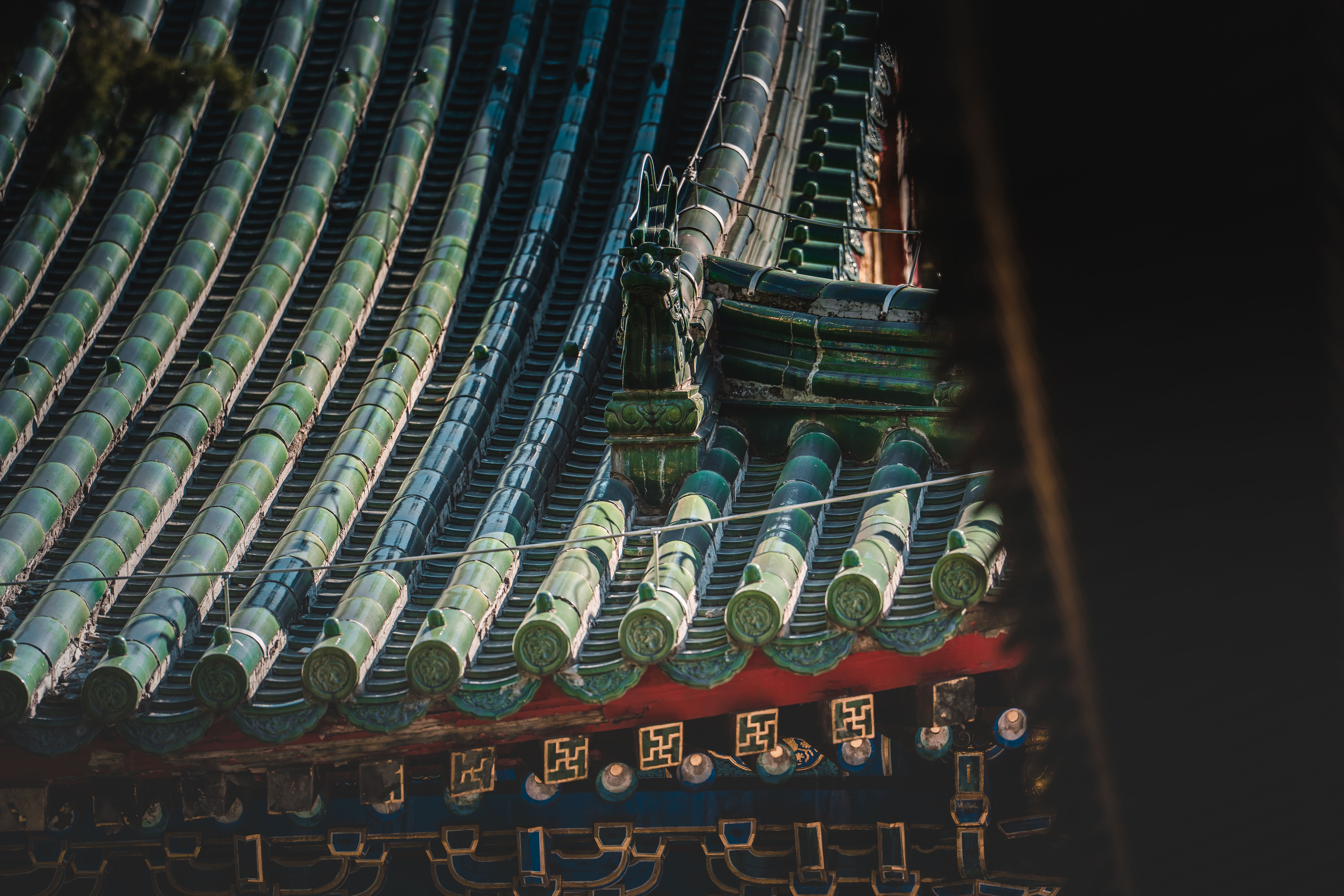 holiday martial arts