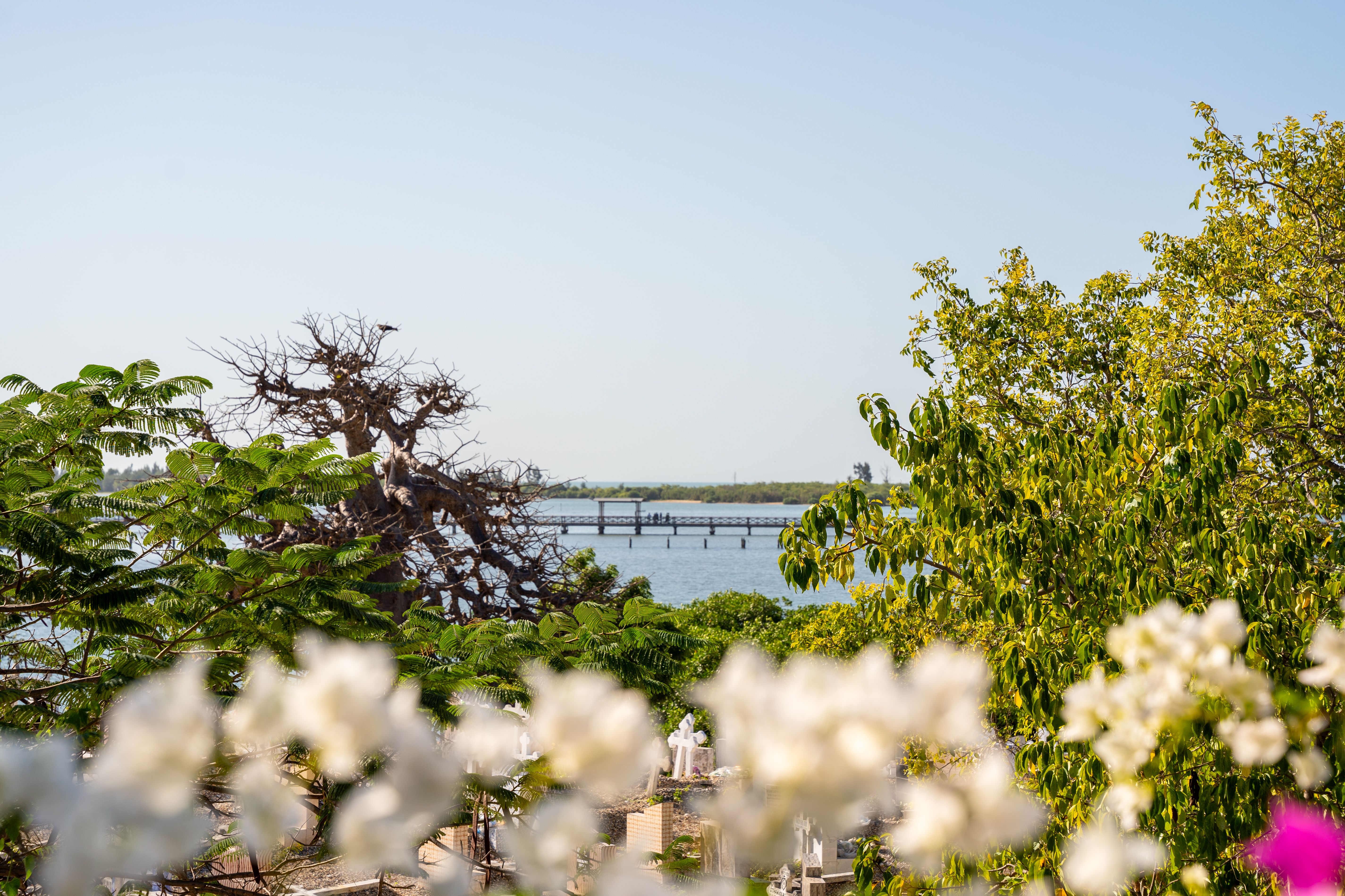 traditional car rental