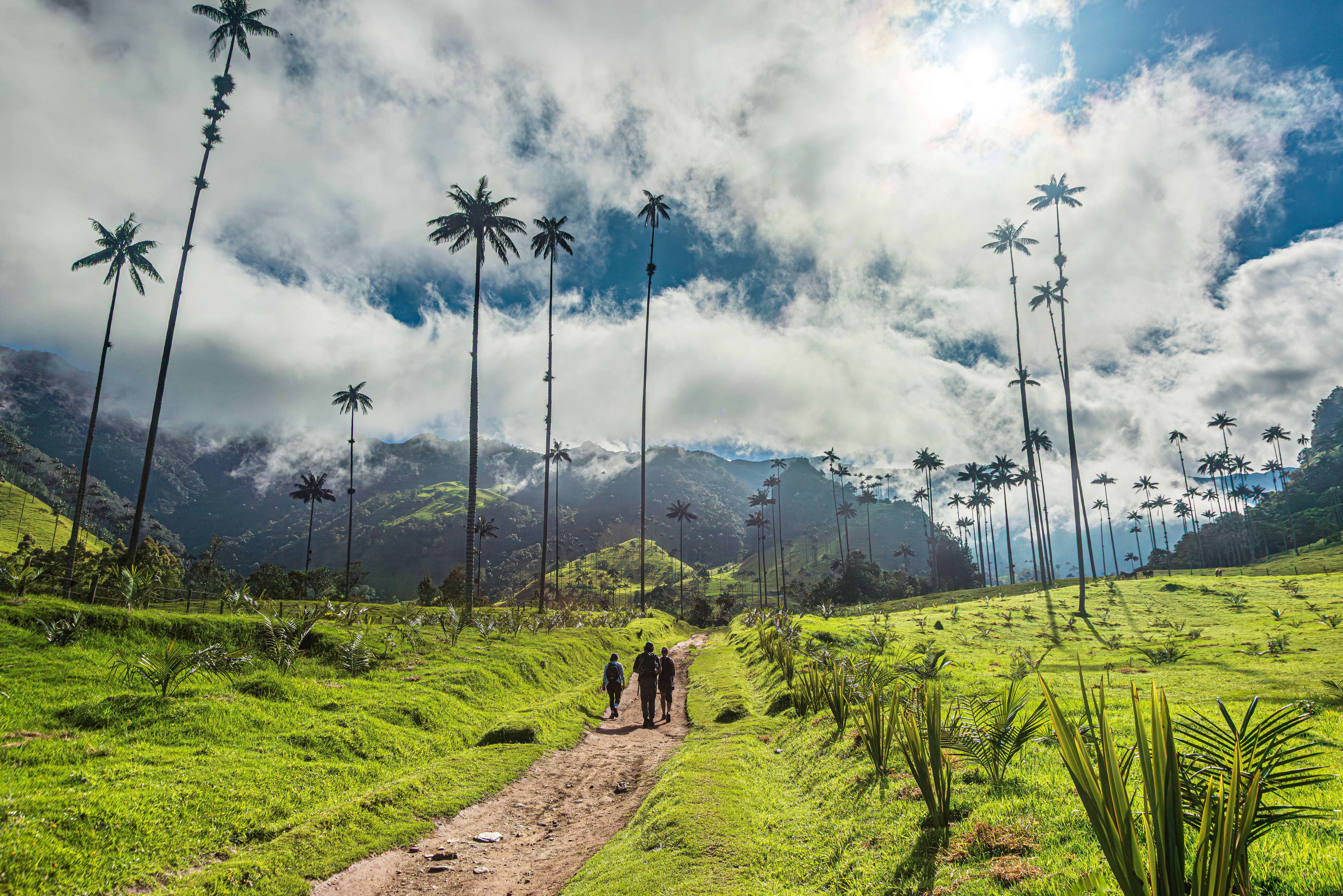 hiking Colombia