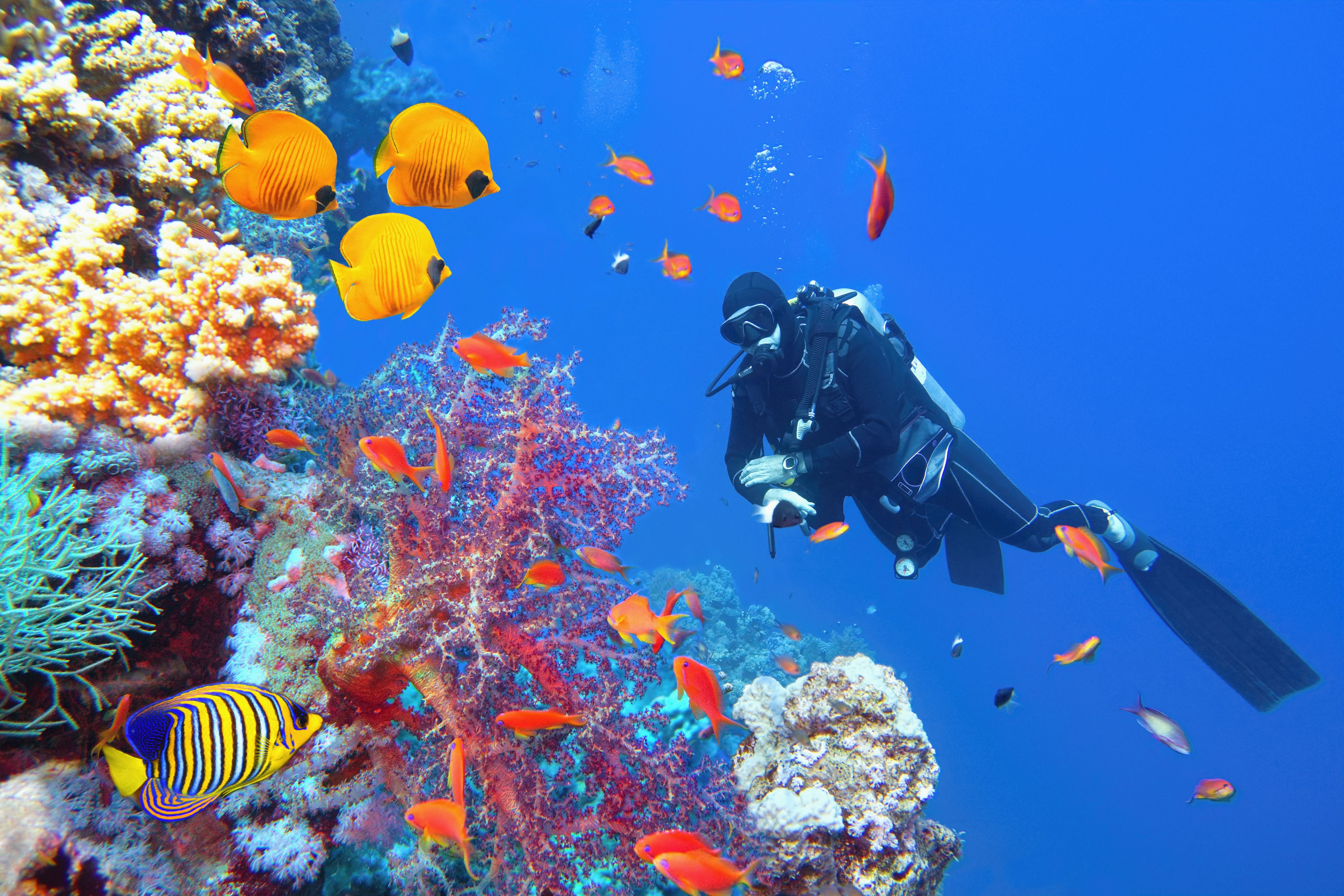 hurghada scuba diving
