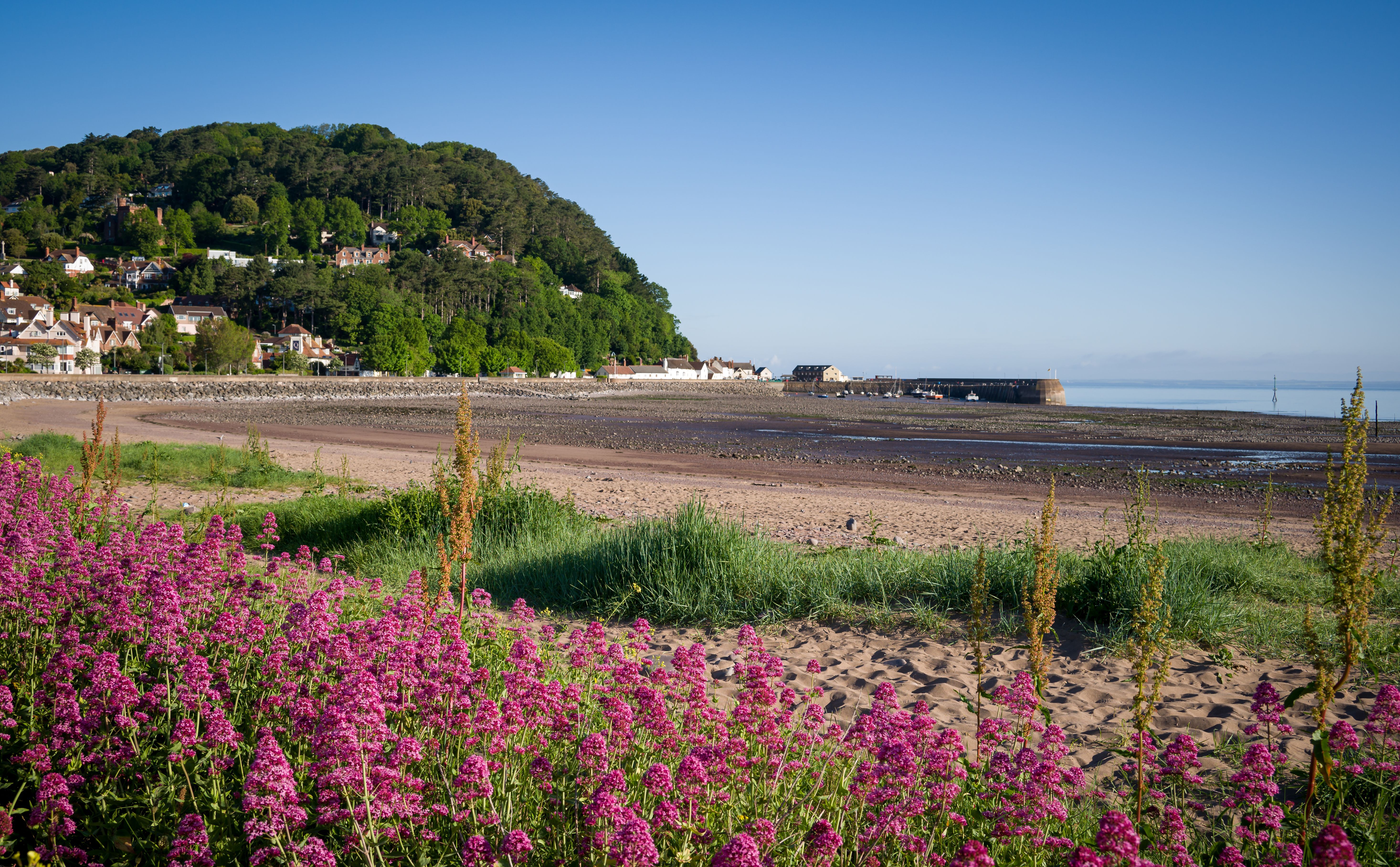 shopping tips minehead