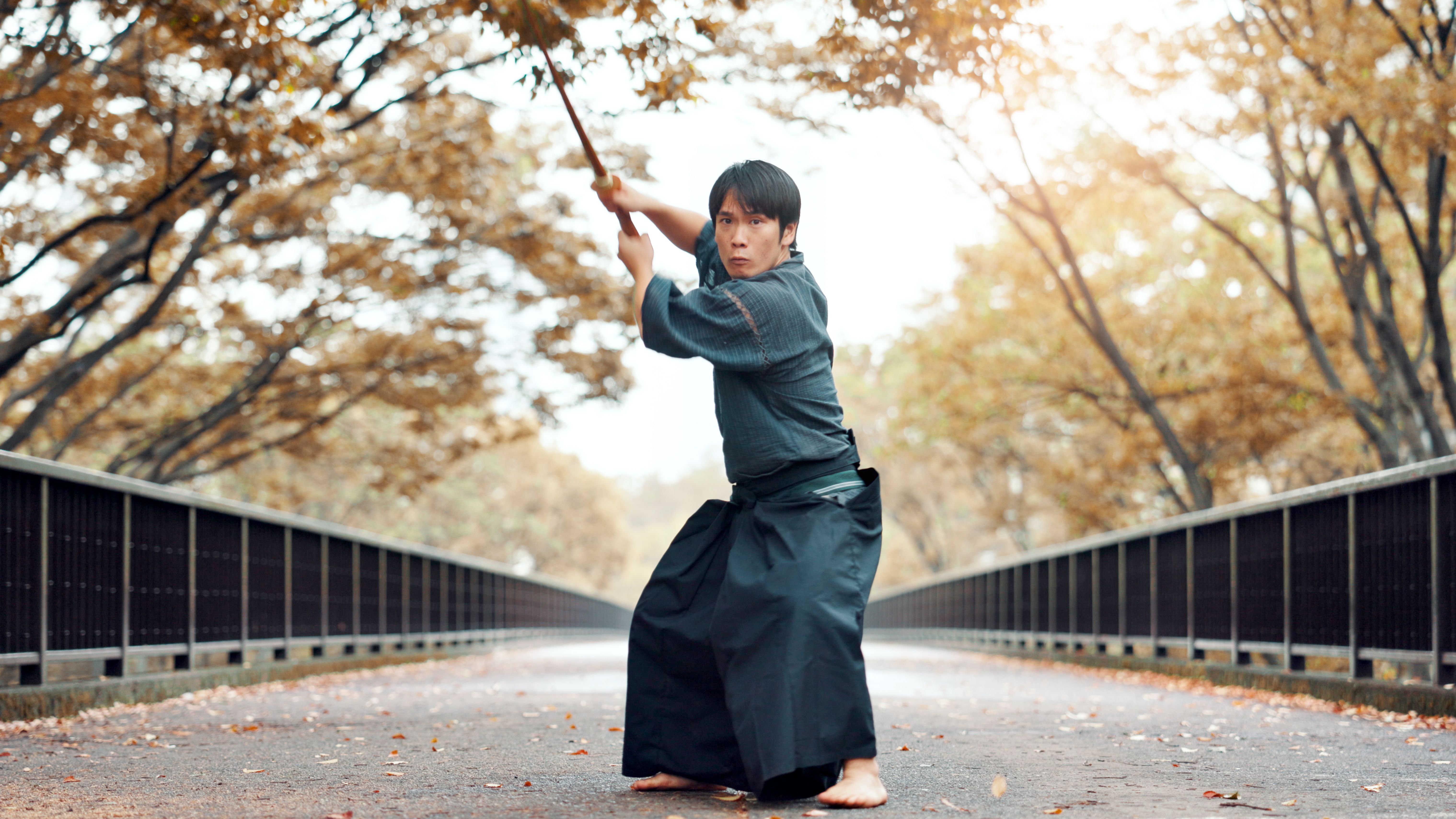 fall martial arts