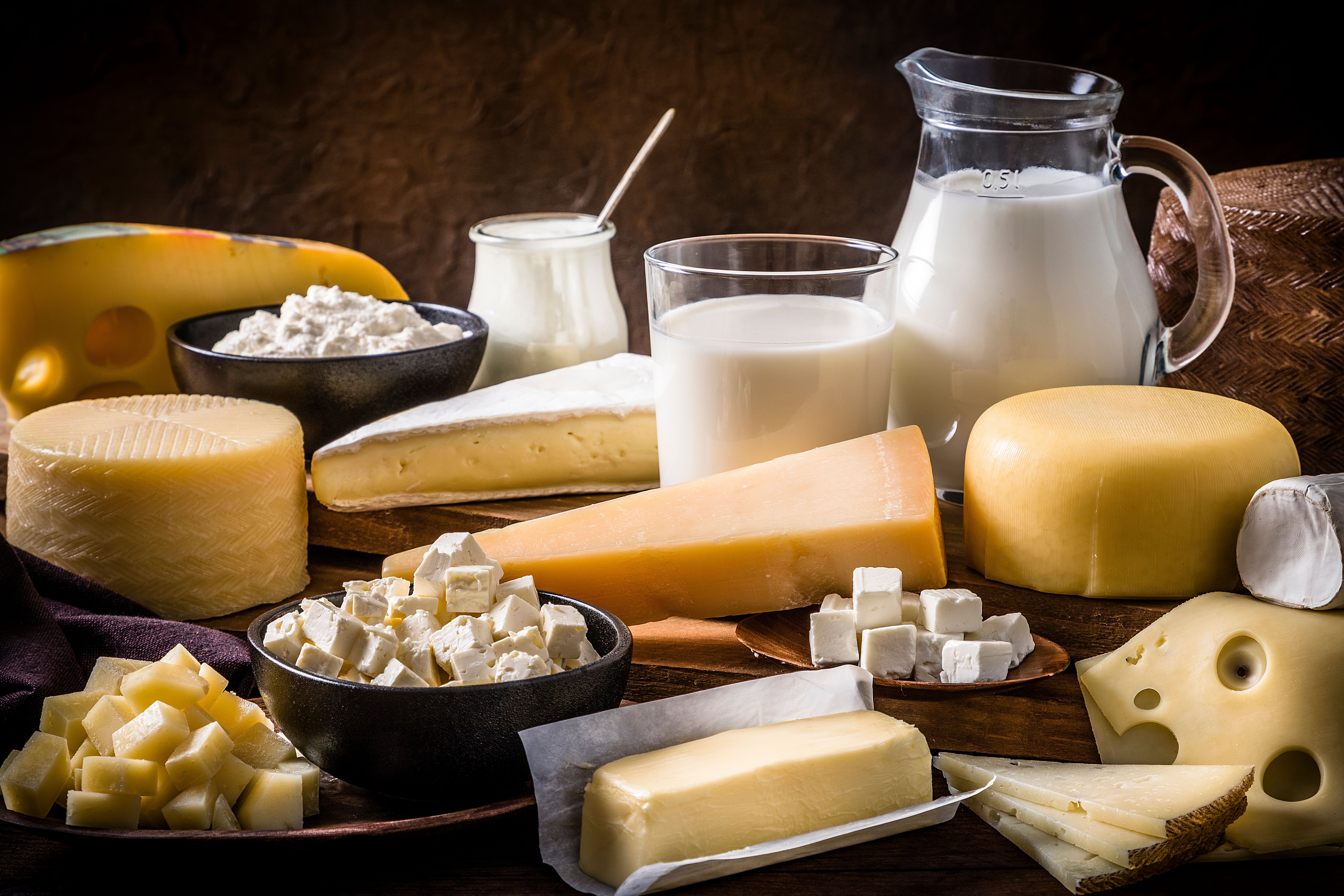 dairy products