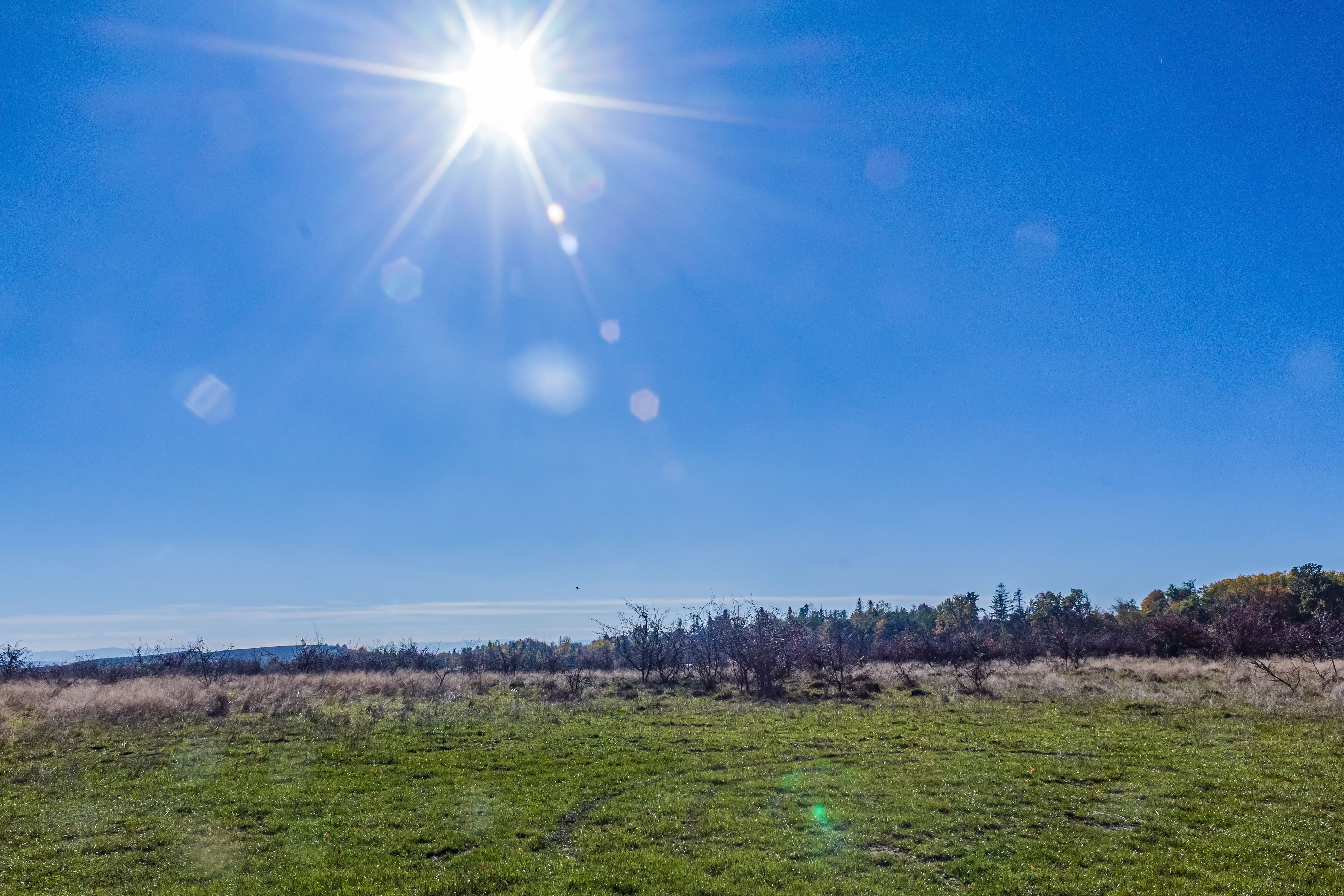 sunny weather outdoors