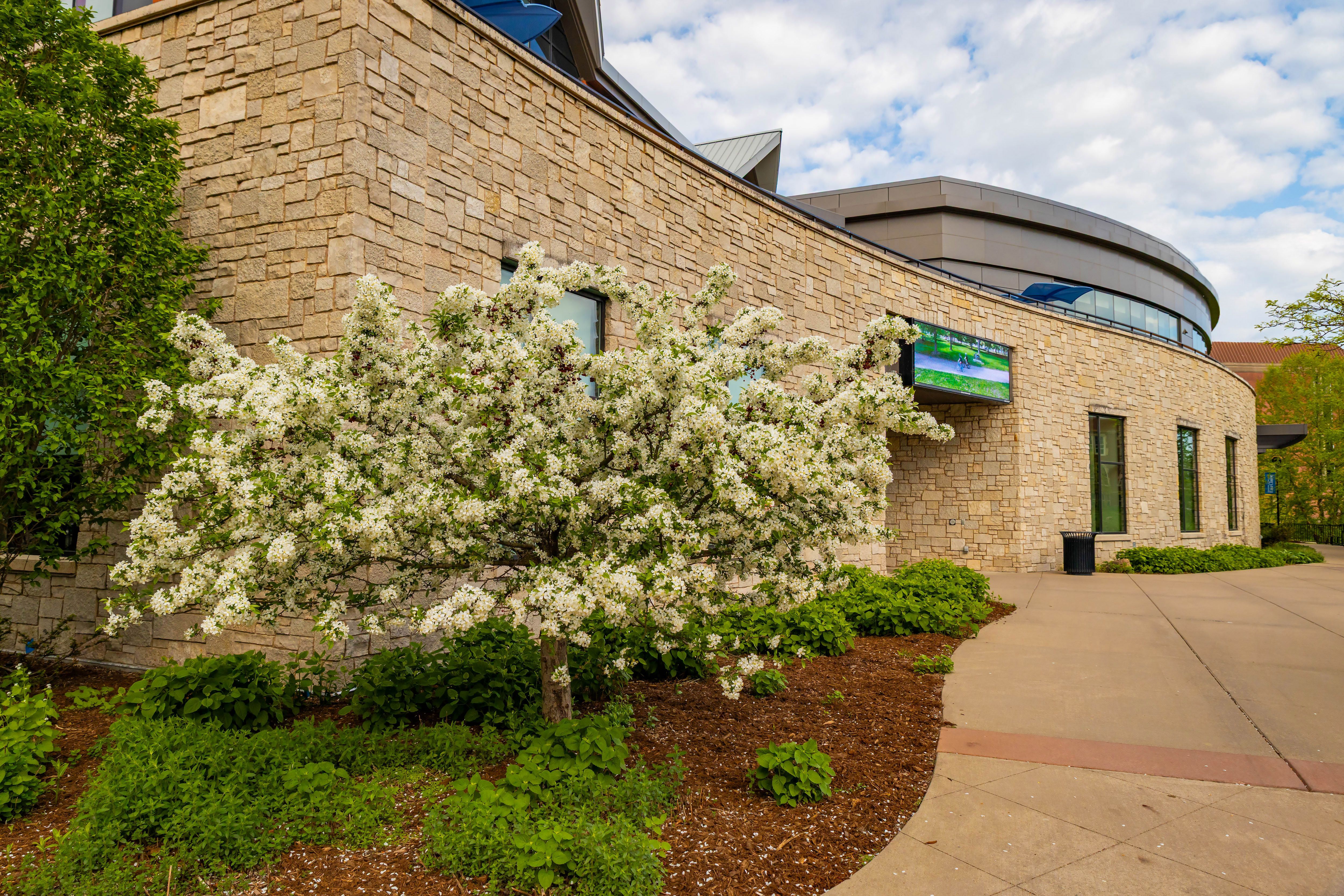 University of Wisconsin Eau Claire Campus on Summer Day