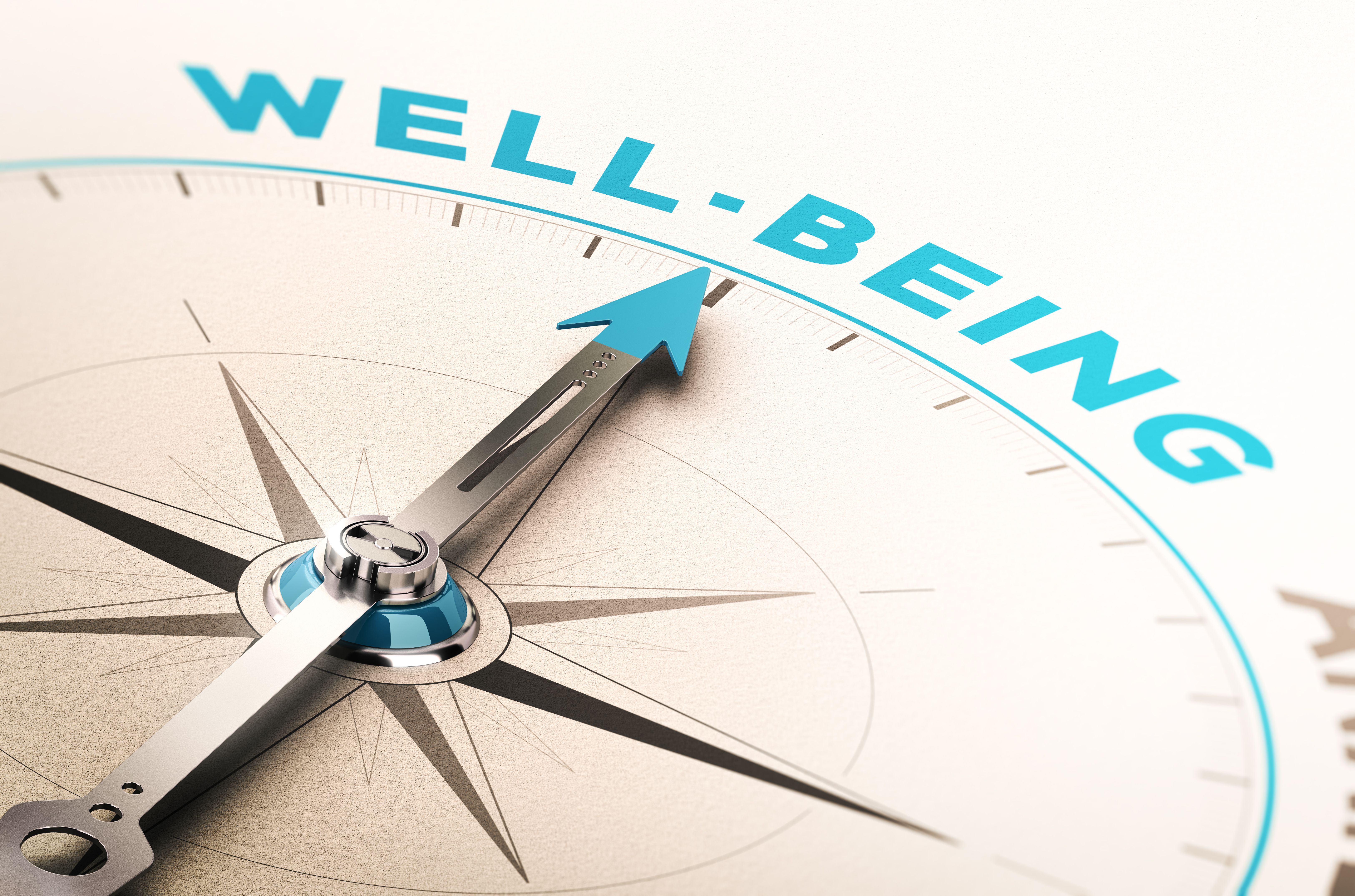 Well-being or wellness Well-being or wellness