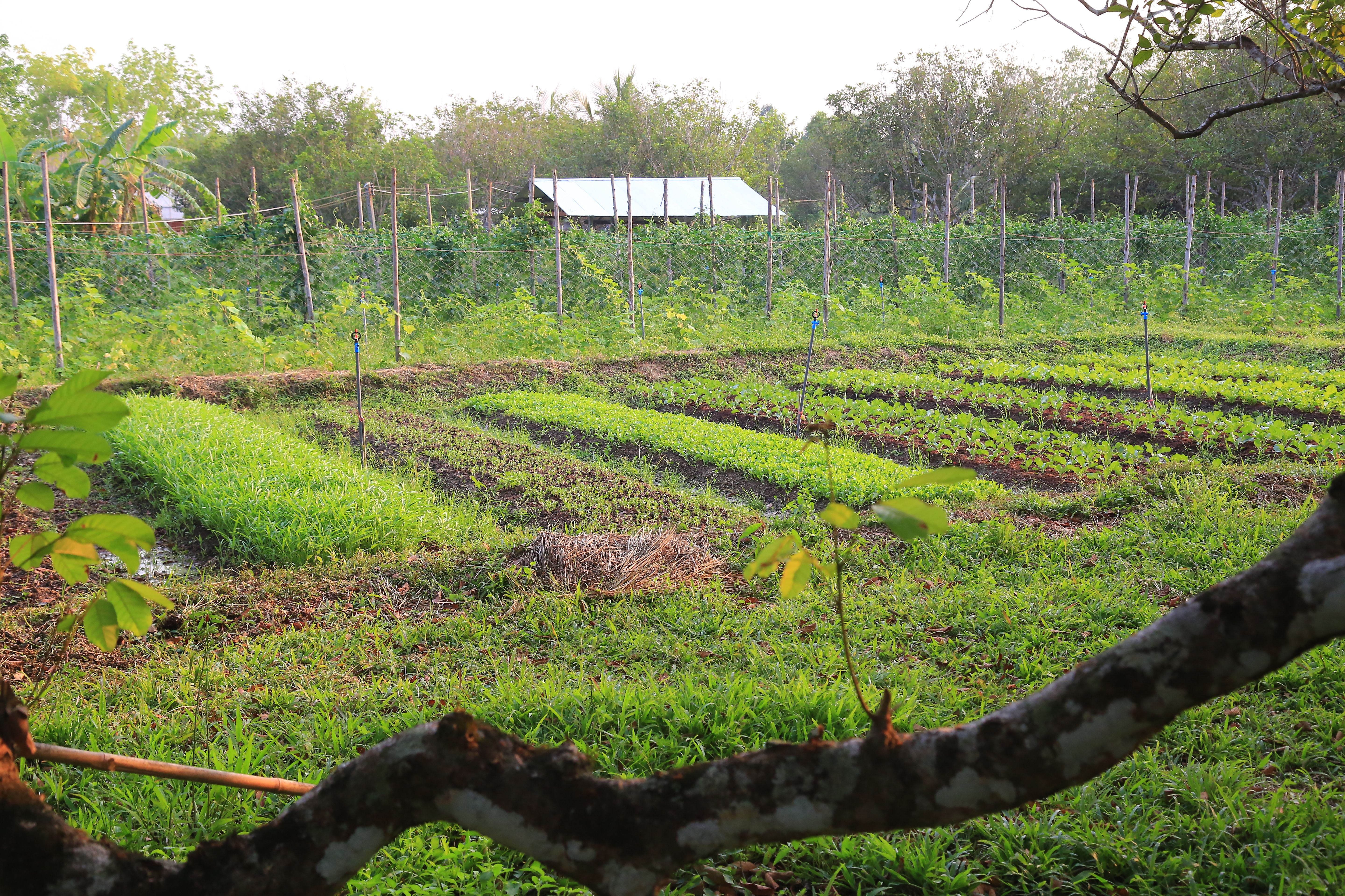 small farm biosecurity