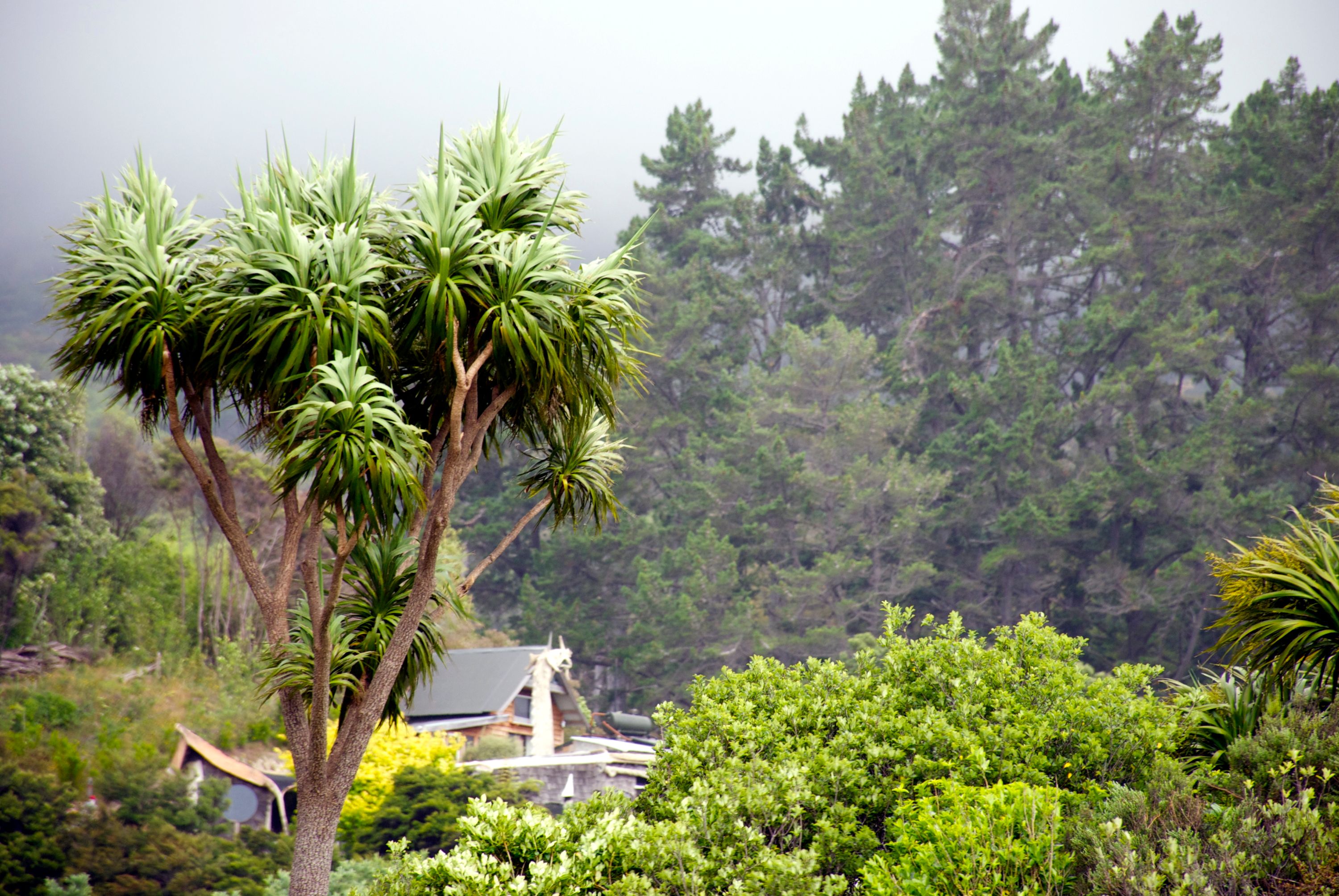 amador county vacation