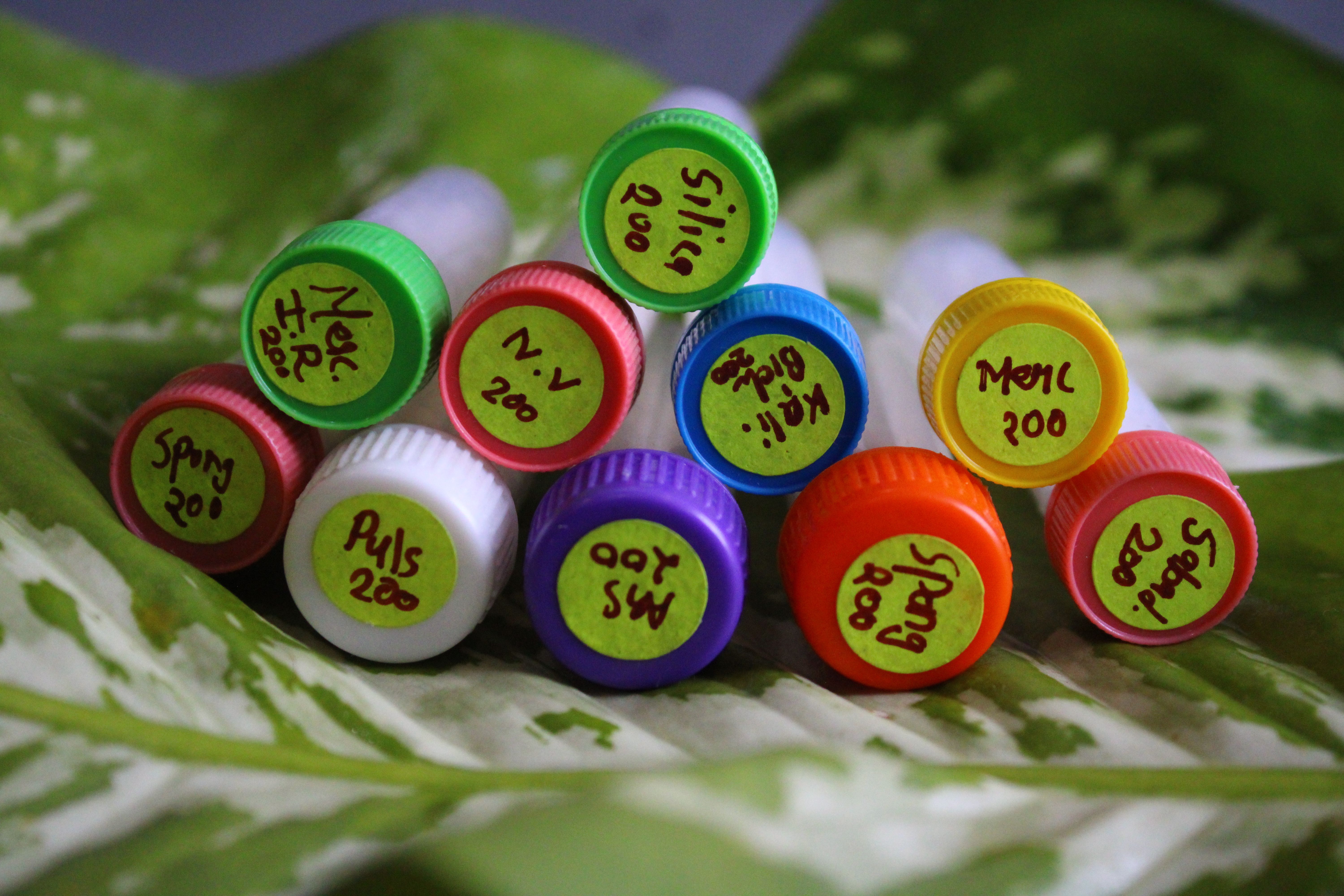 researching homeopathy