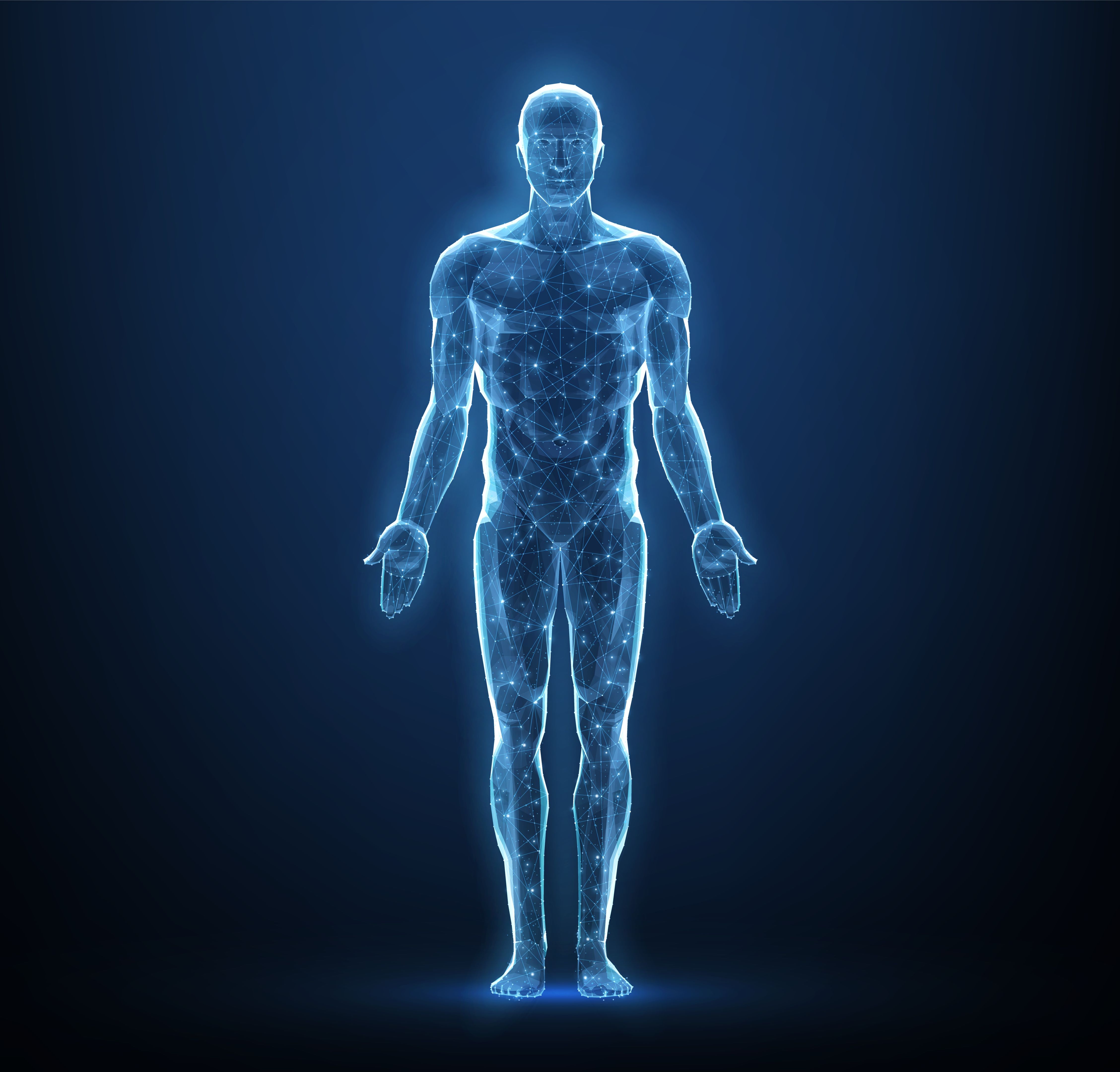 human body anatomy