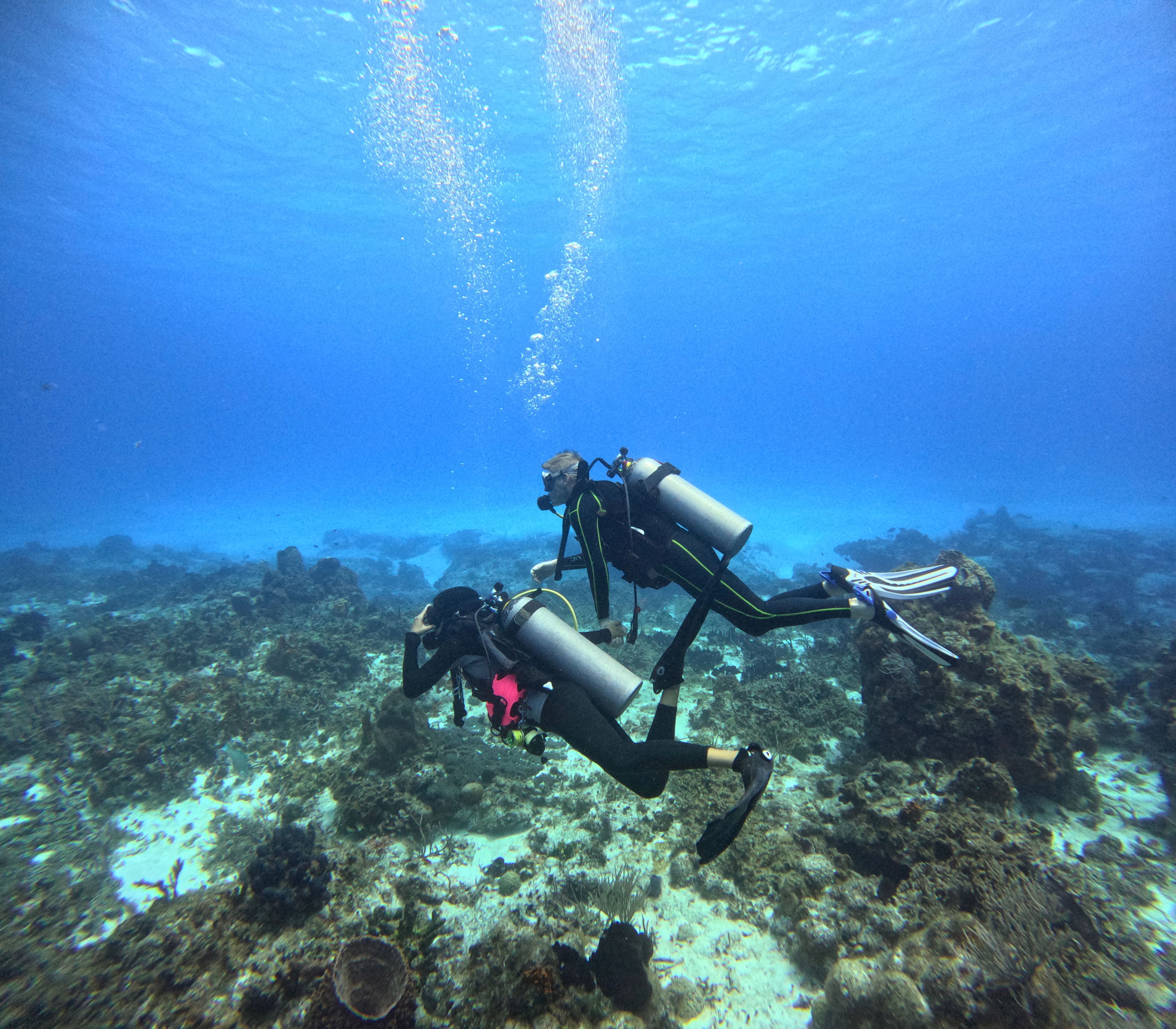 worldwide scuba destinations