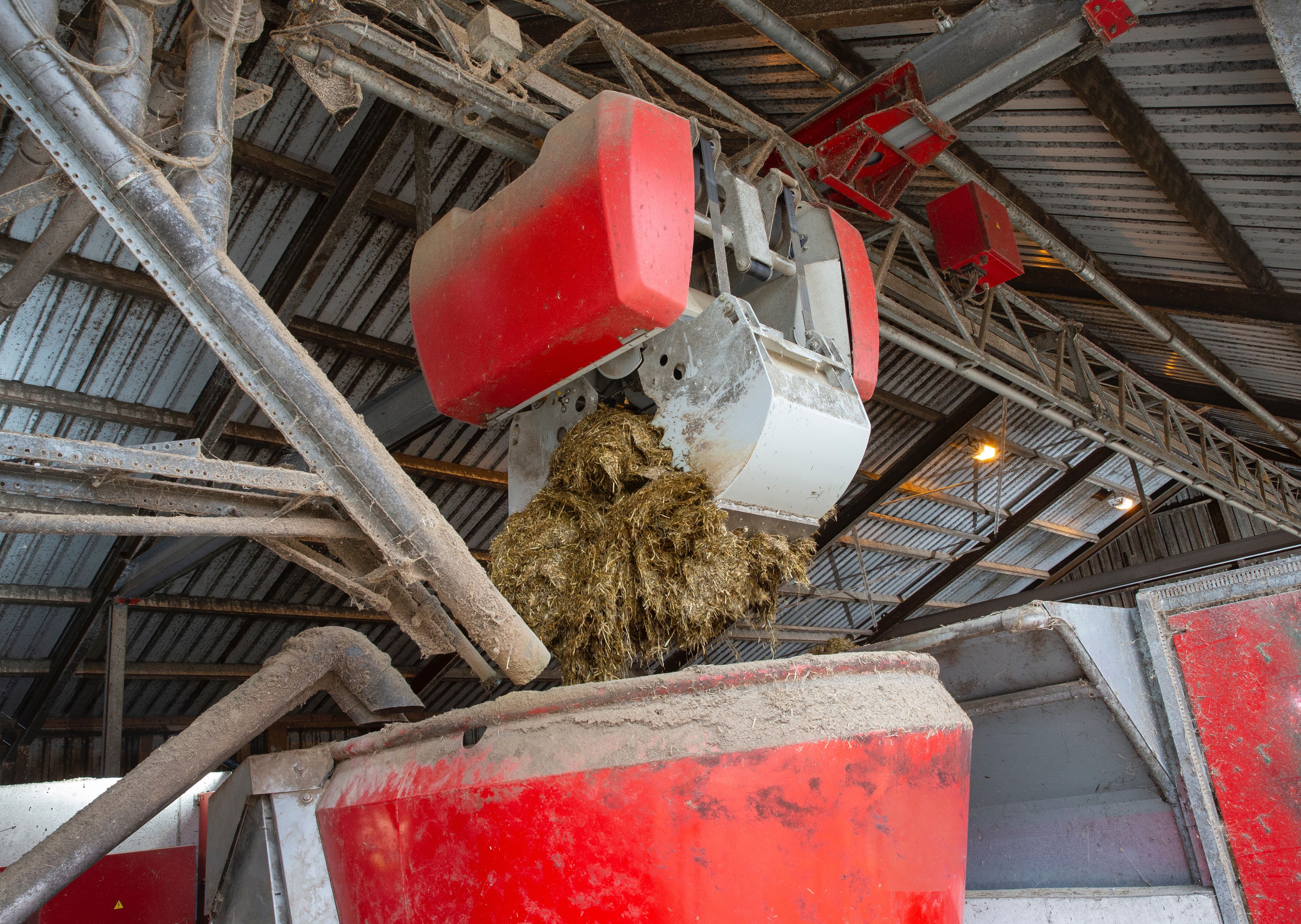 Feeding robot system
