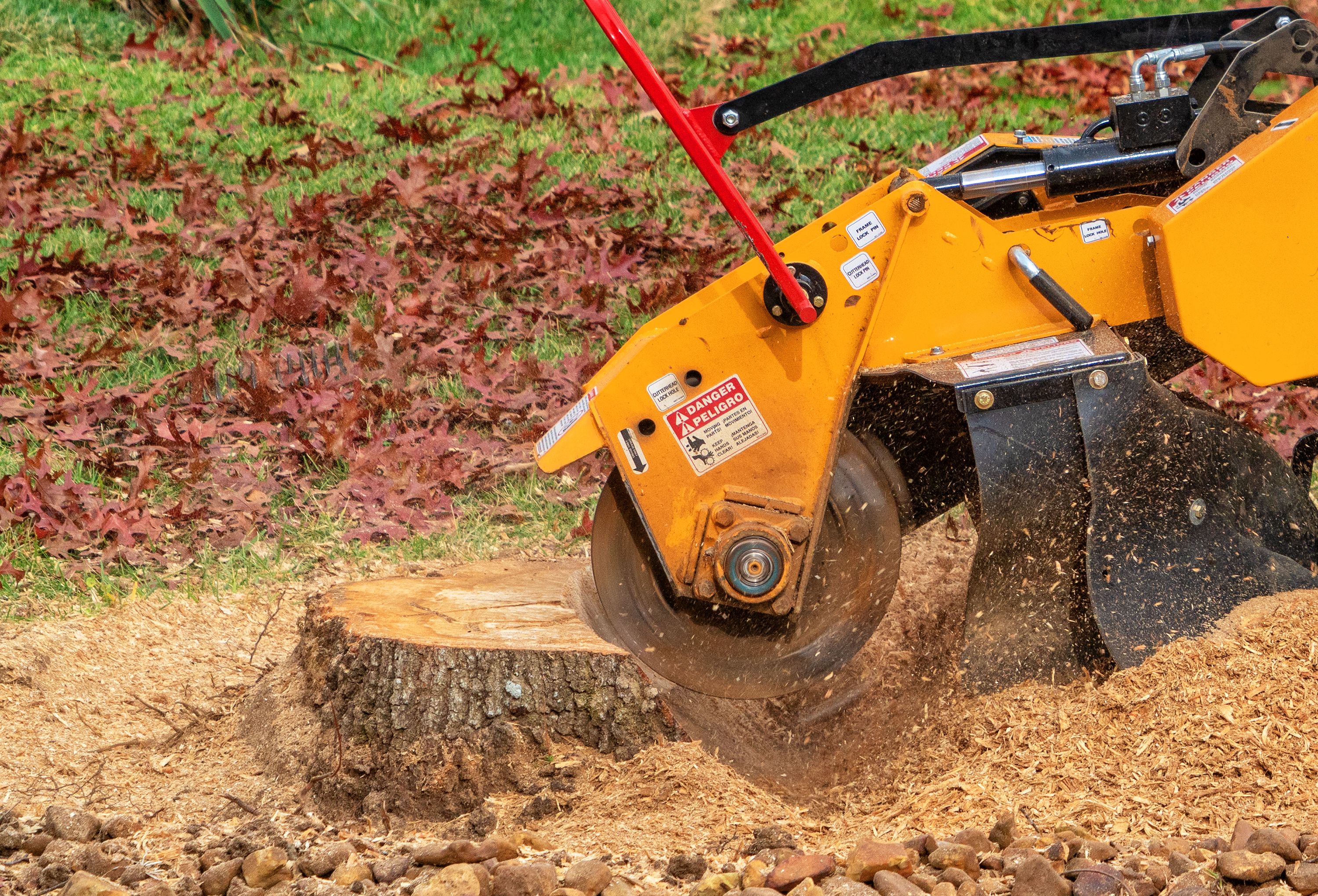 stump grinding