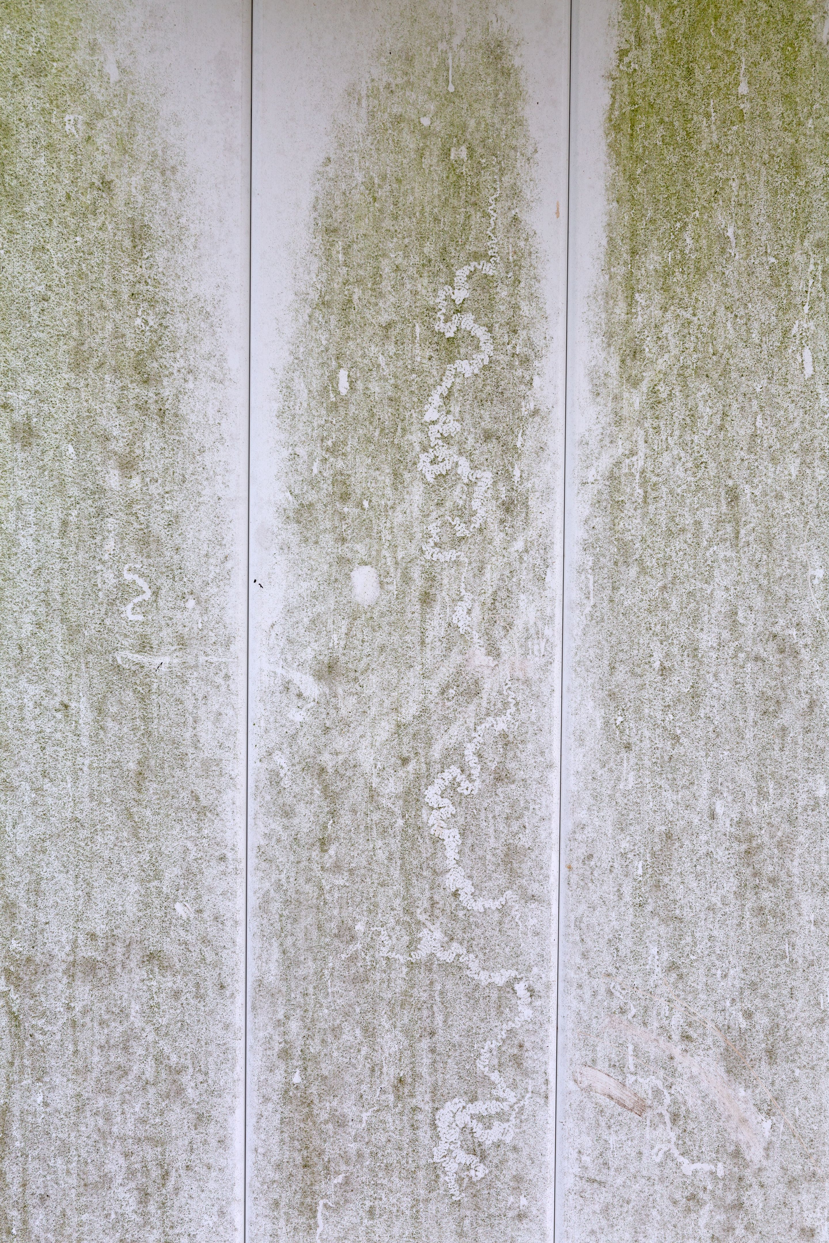 Plastic fence with green mold and dirt