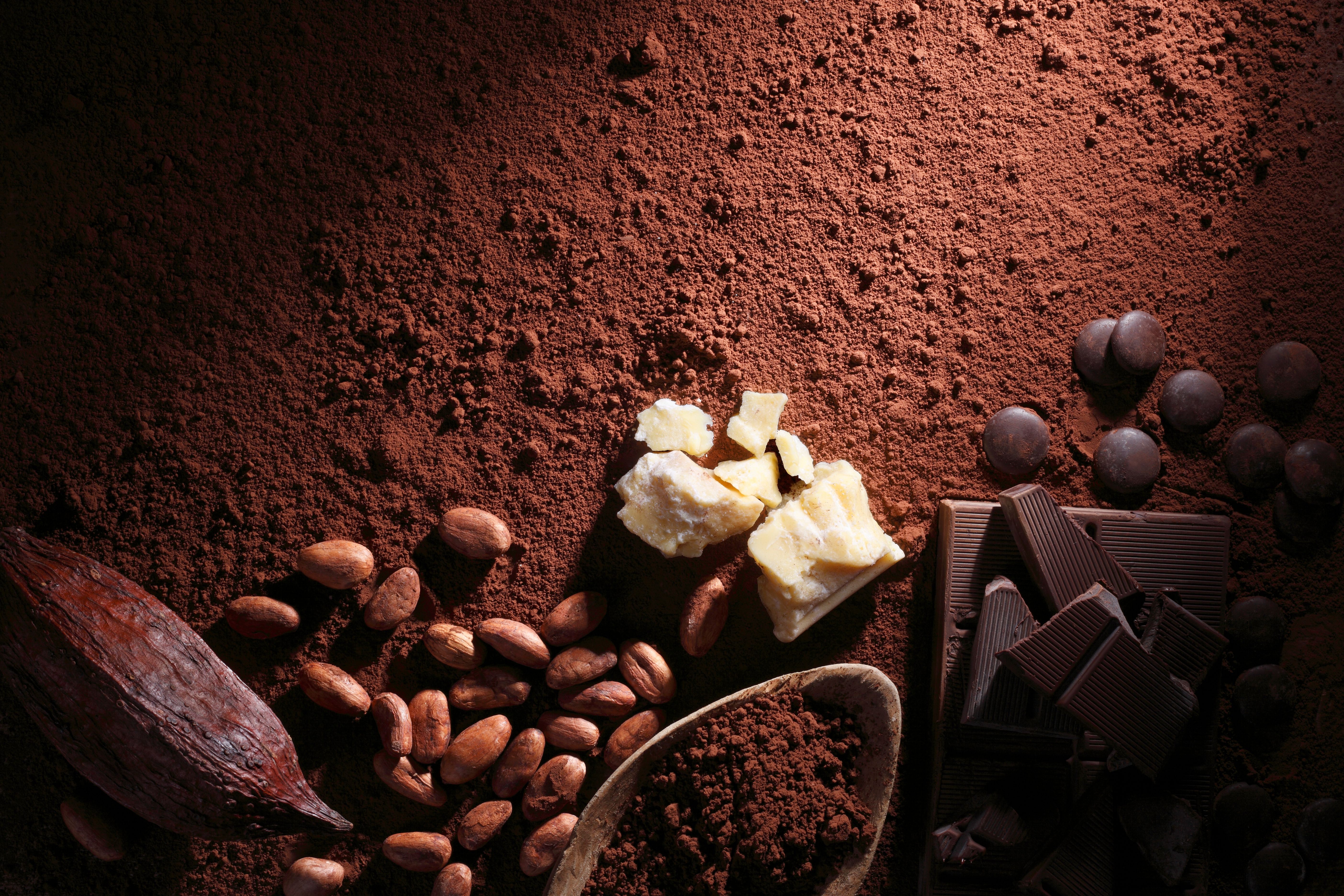 chocolate ingredients