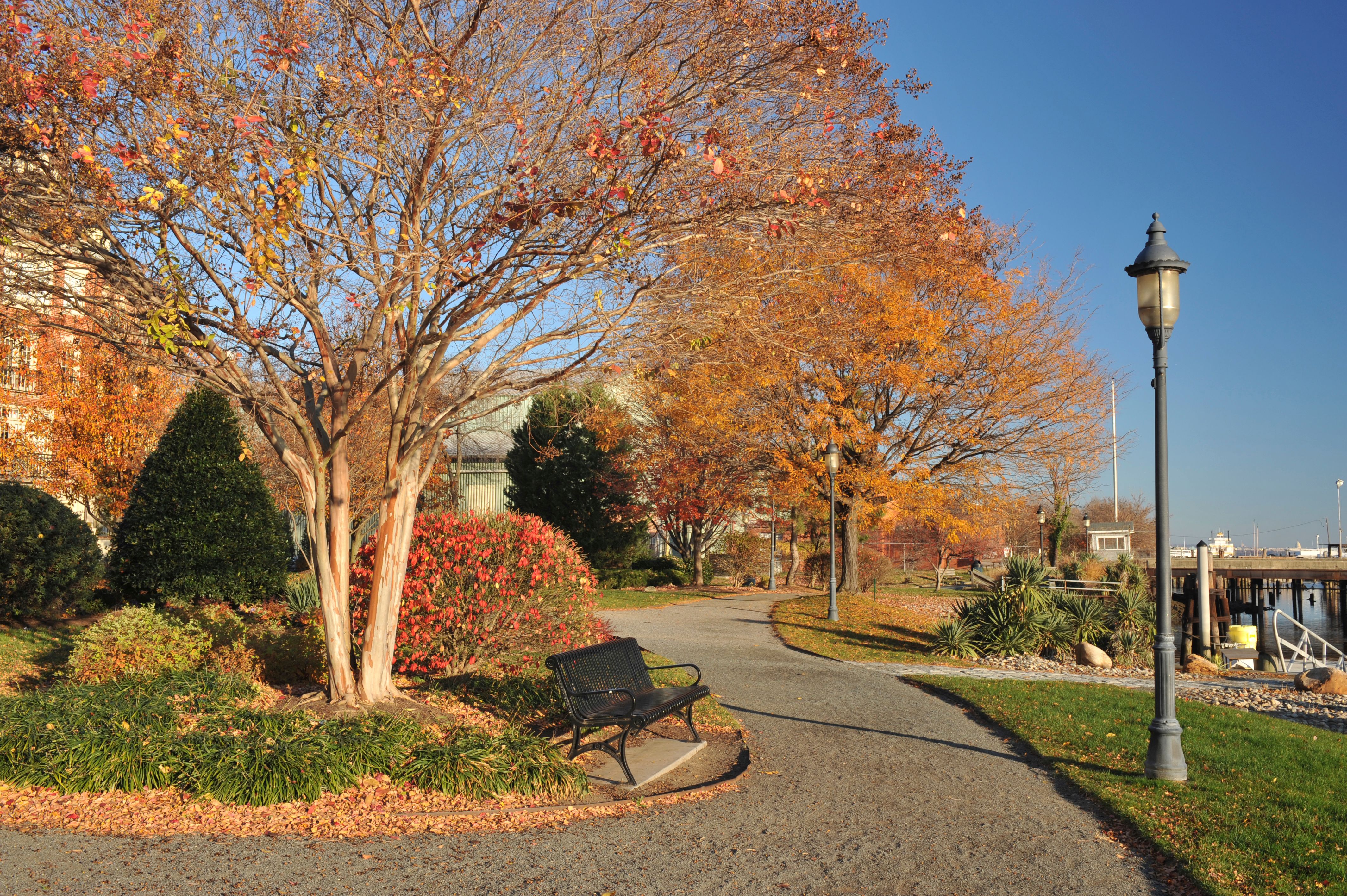 autumn festival alexandria