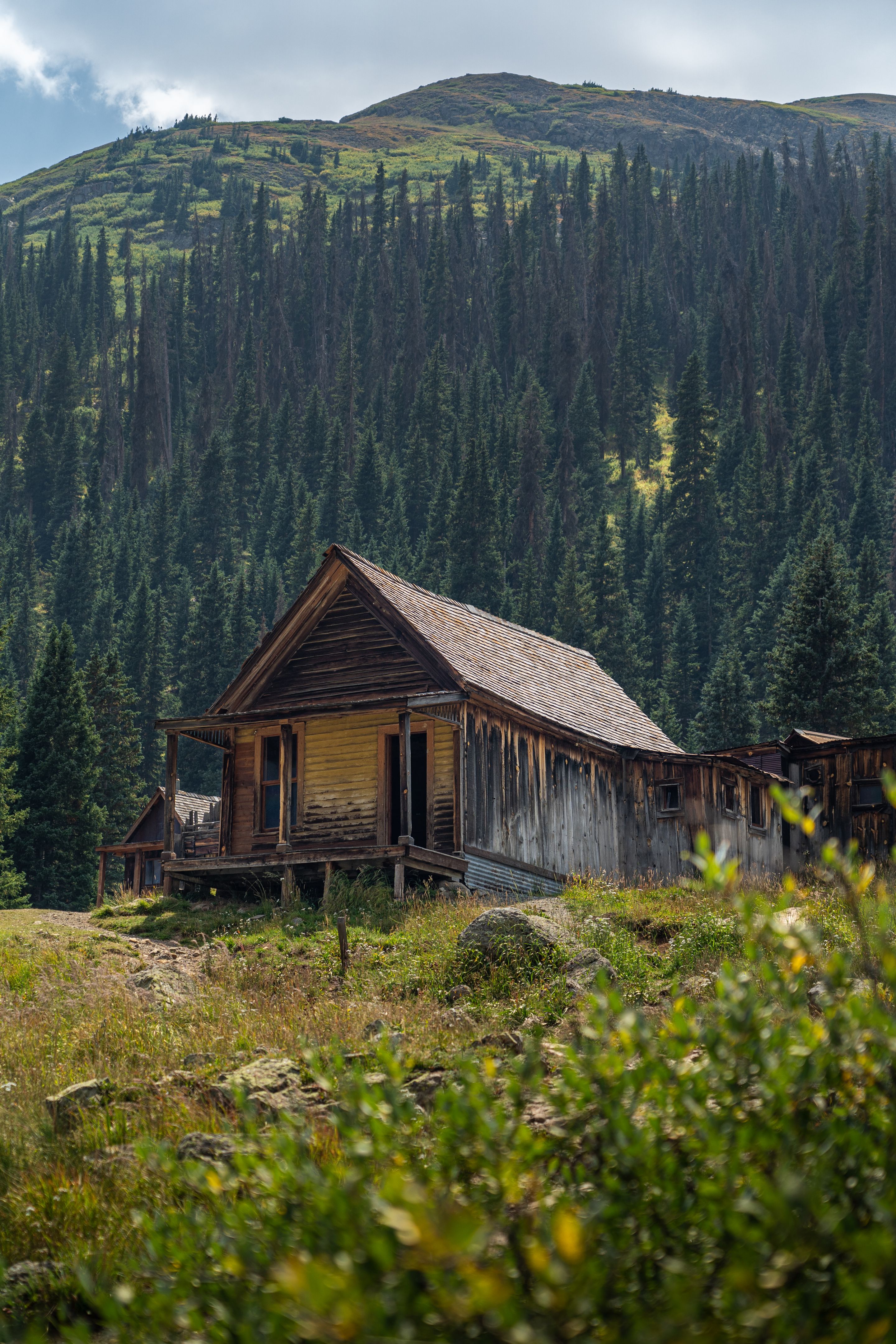 Rustic Cabin in a Lush Forested Mountain Landscape