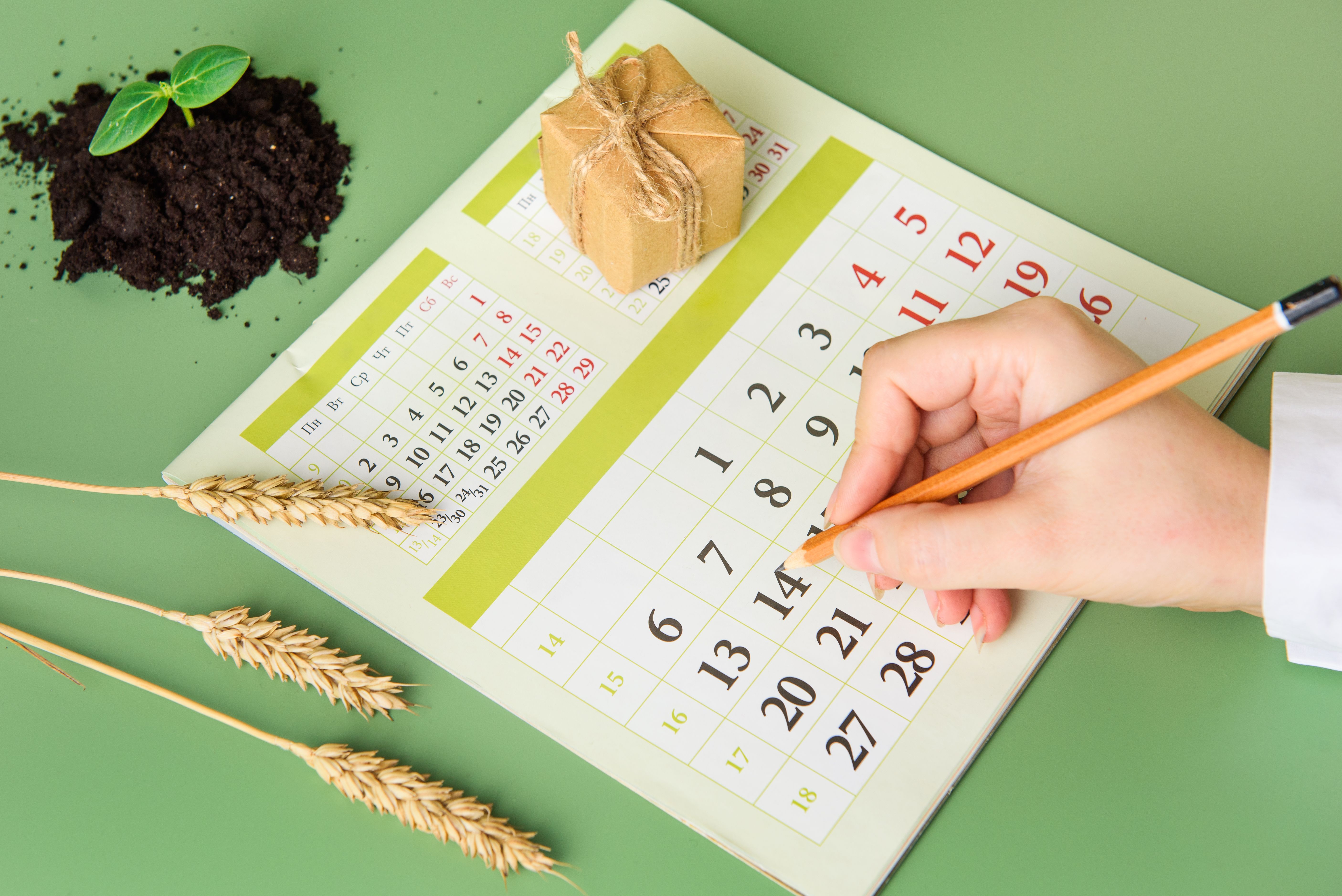 planting calendar