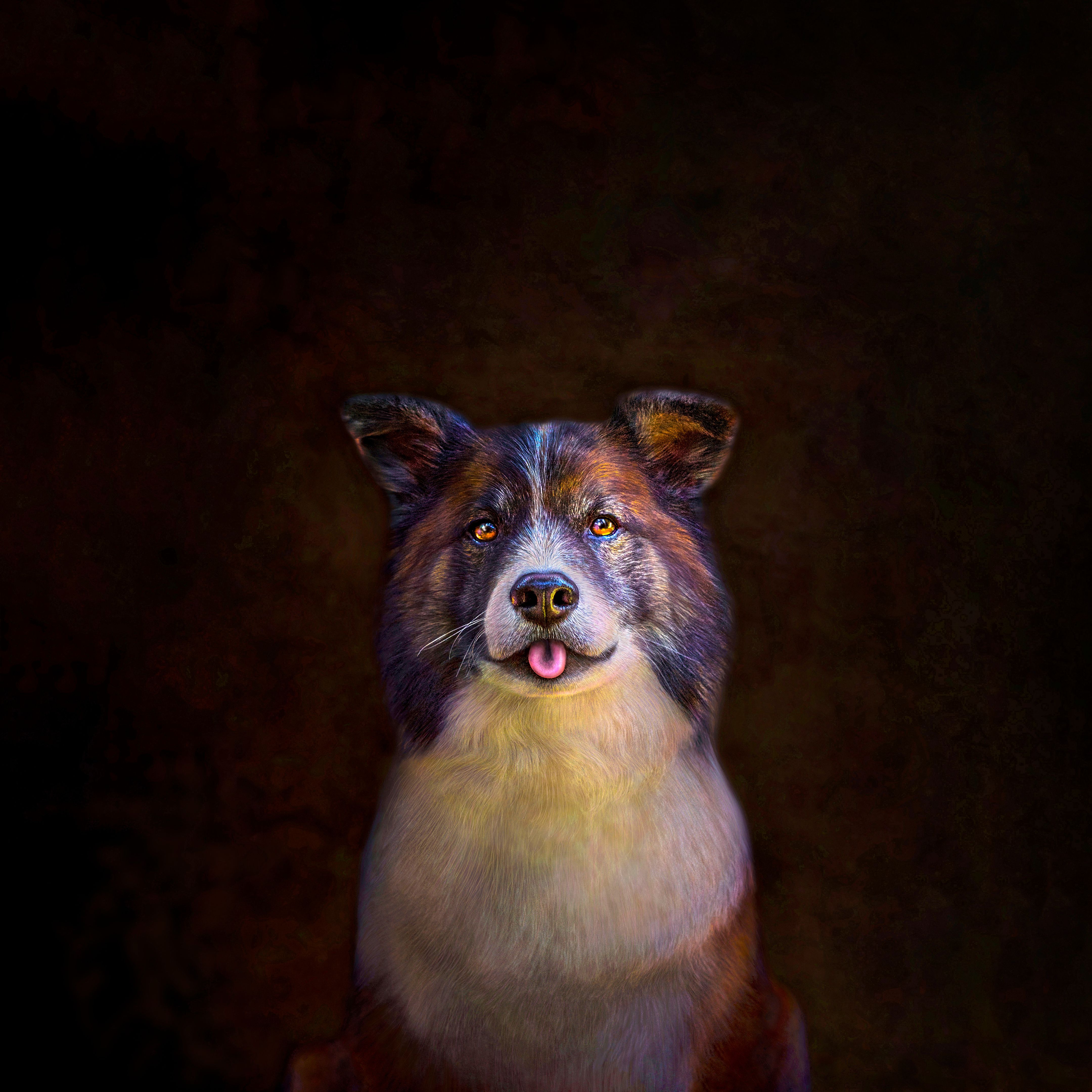 custom pet portrait