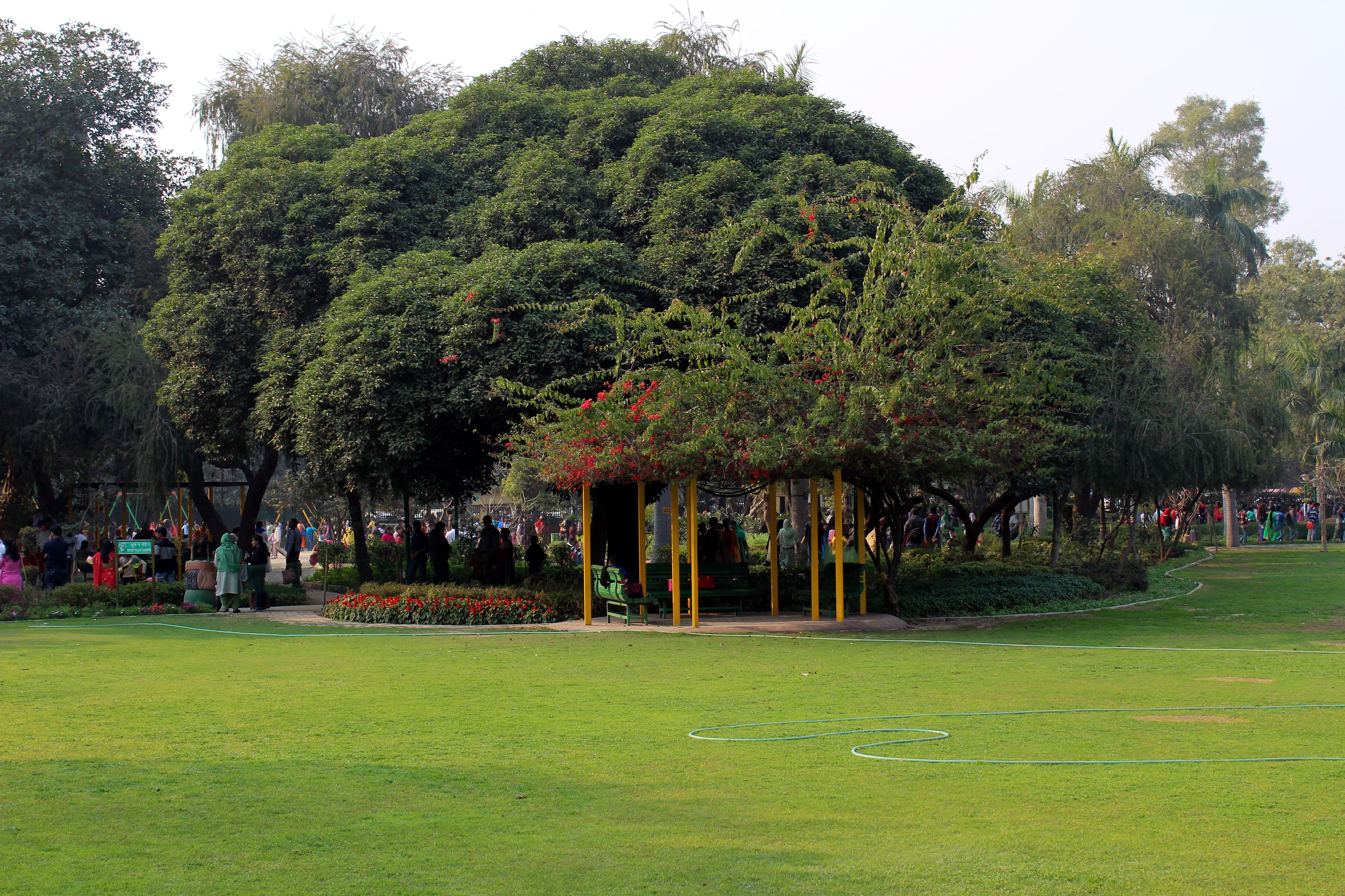 vasant kunj park