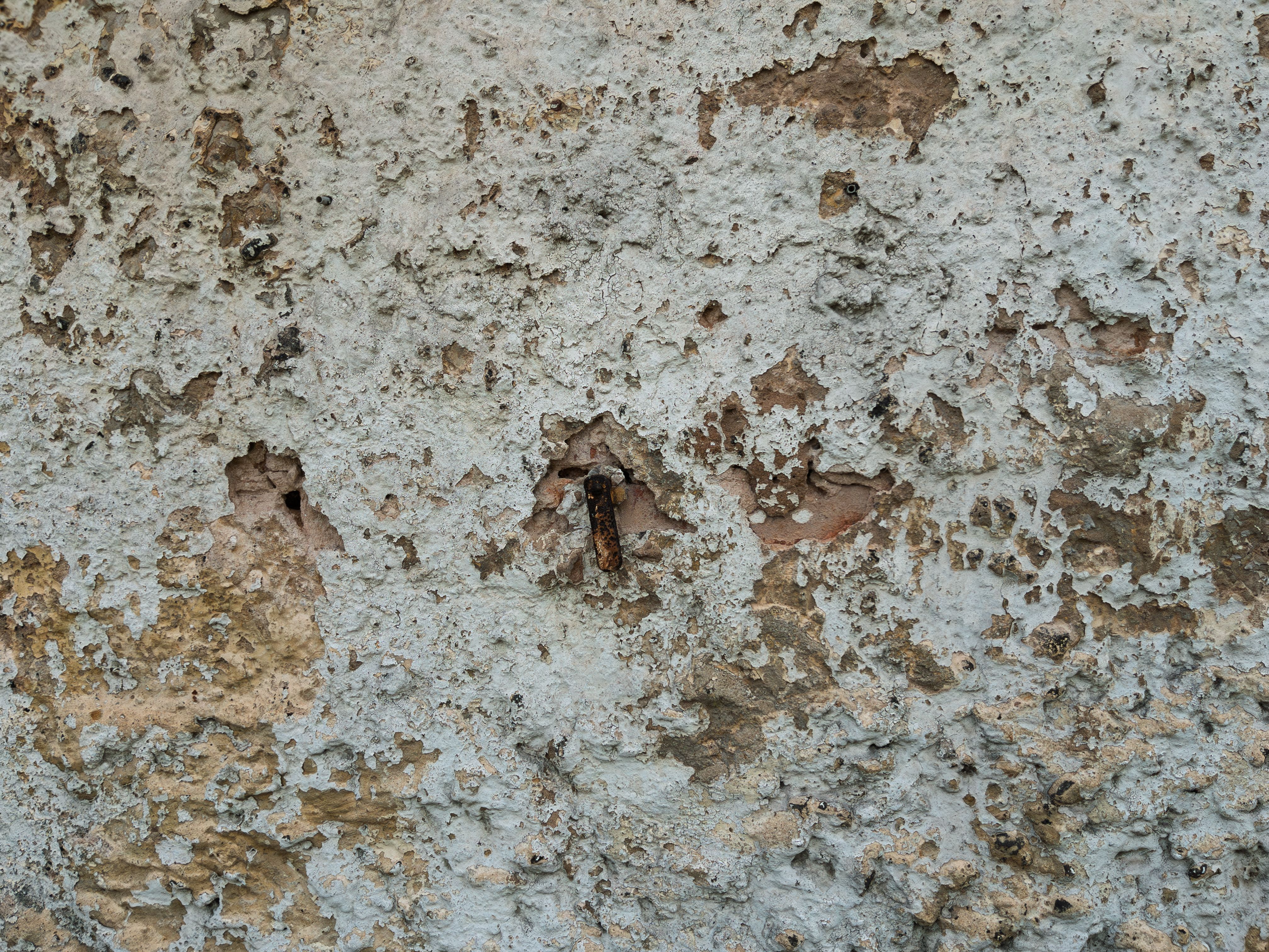 environmental paint factors