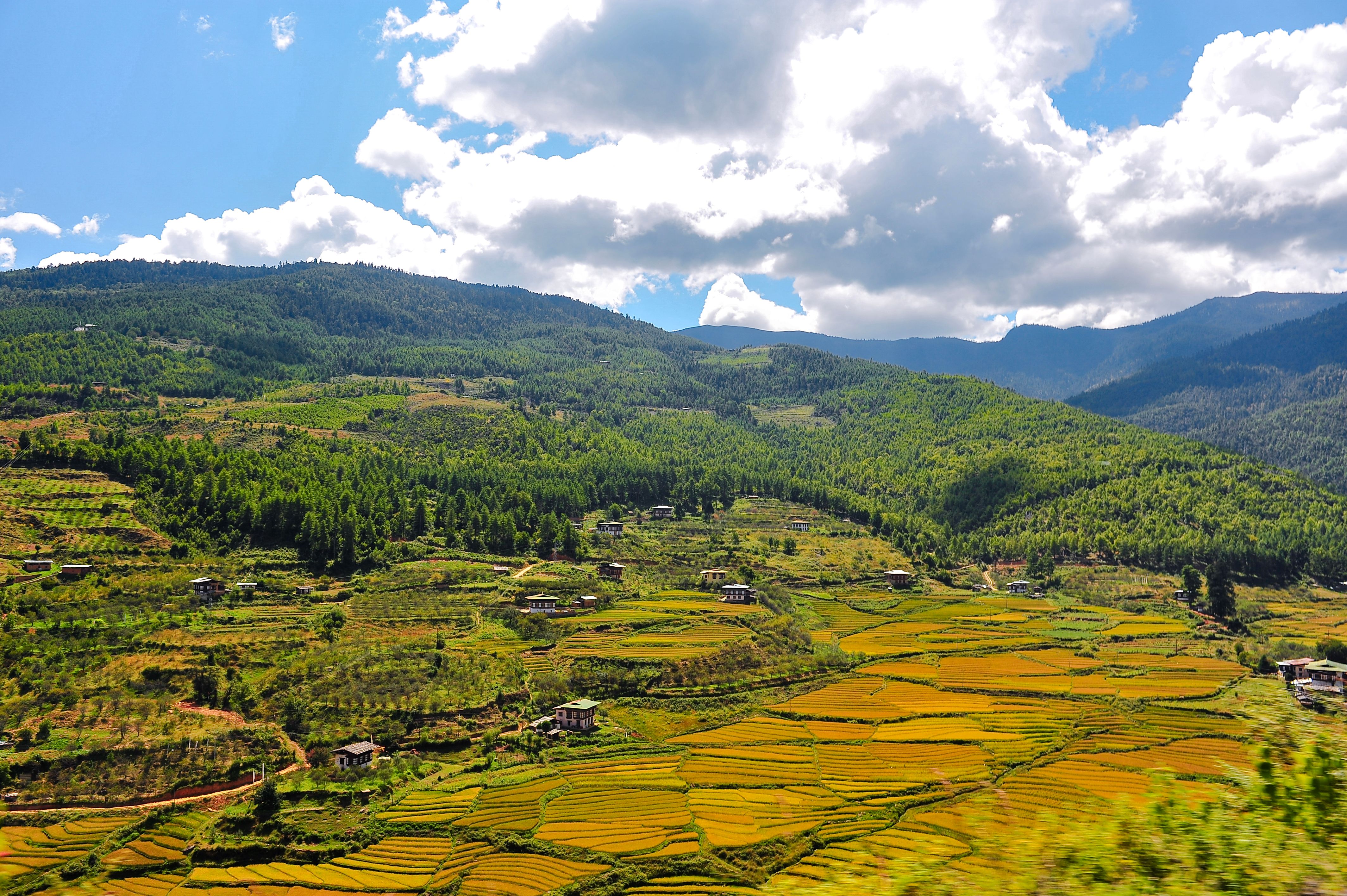 bhutan landscape