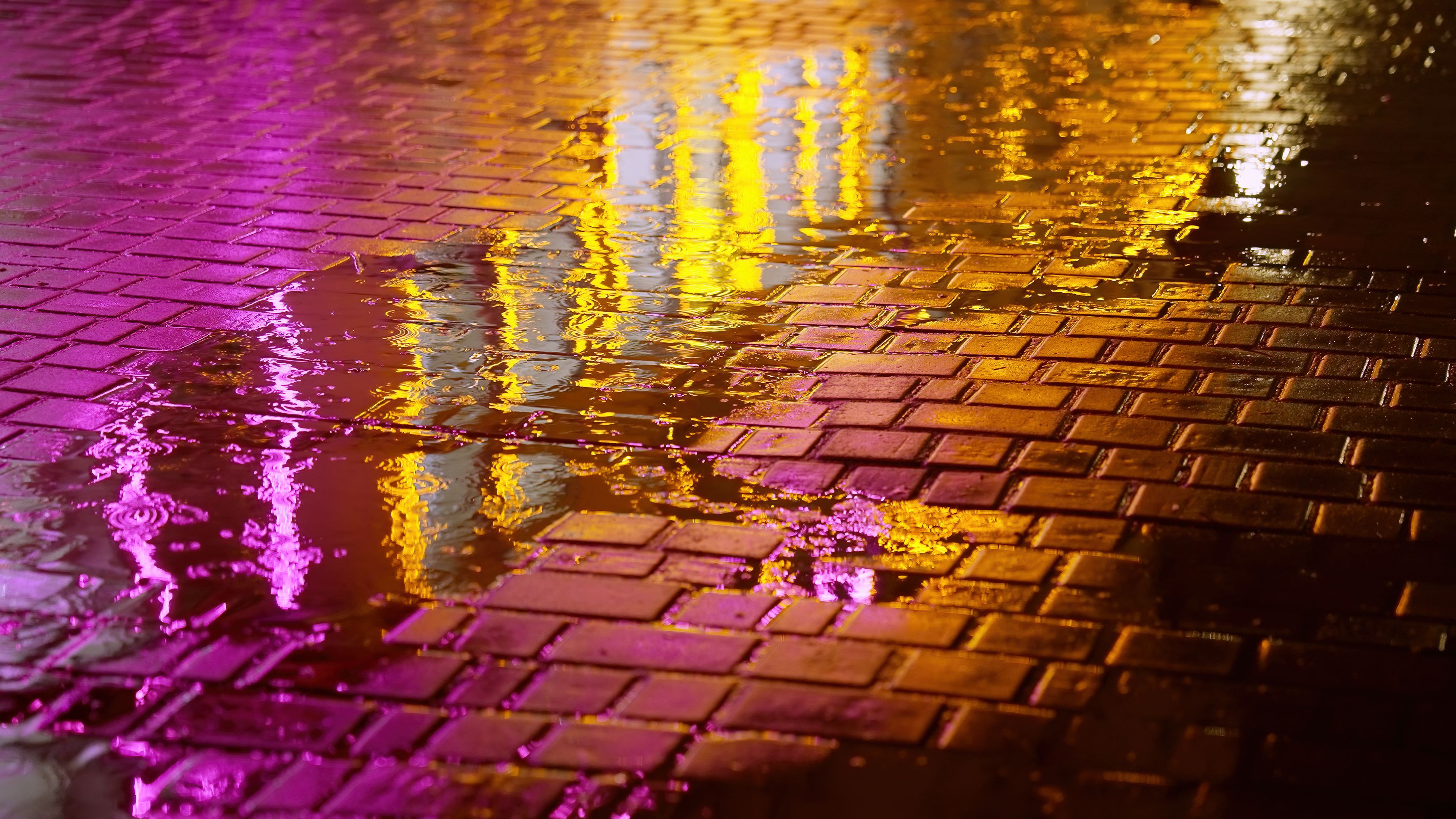autumn cyberpunk