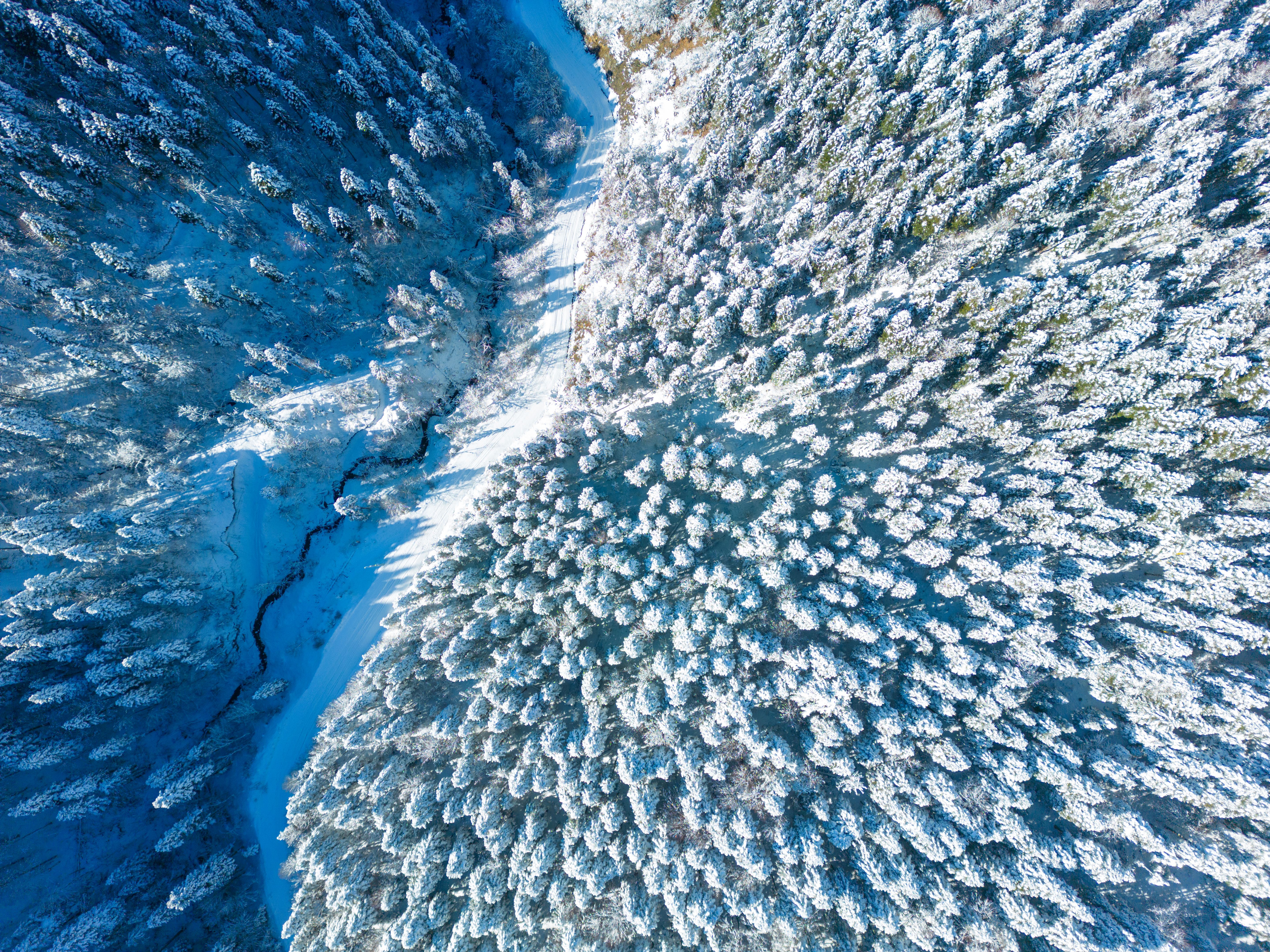winter landscape drone