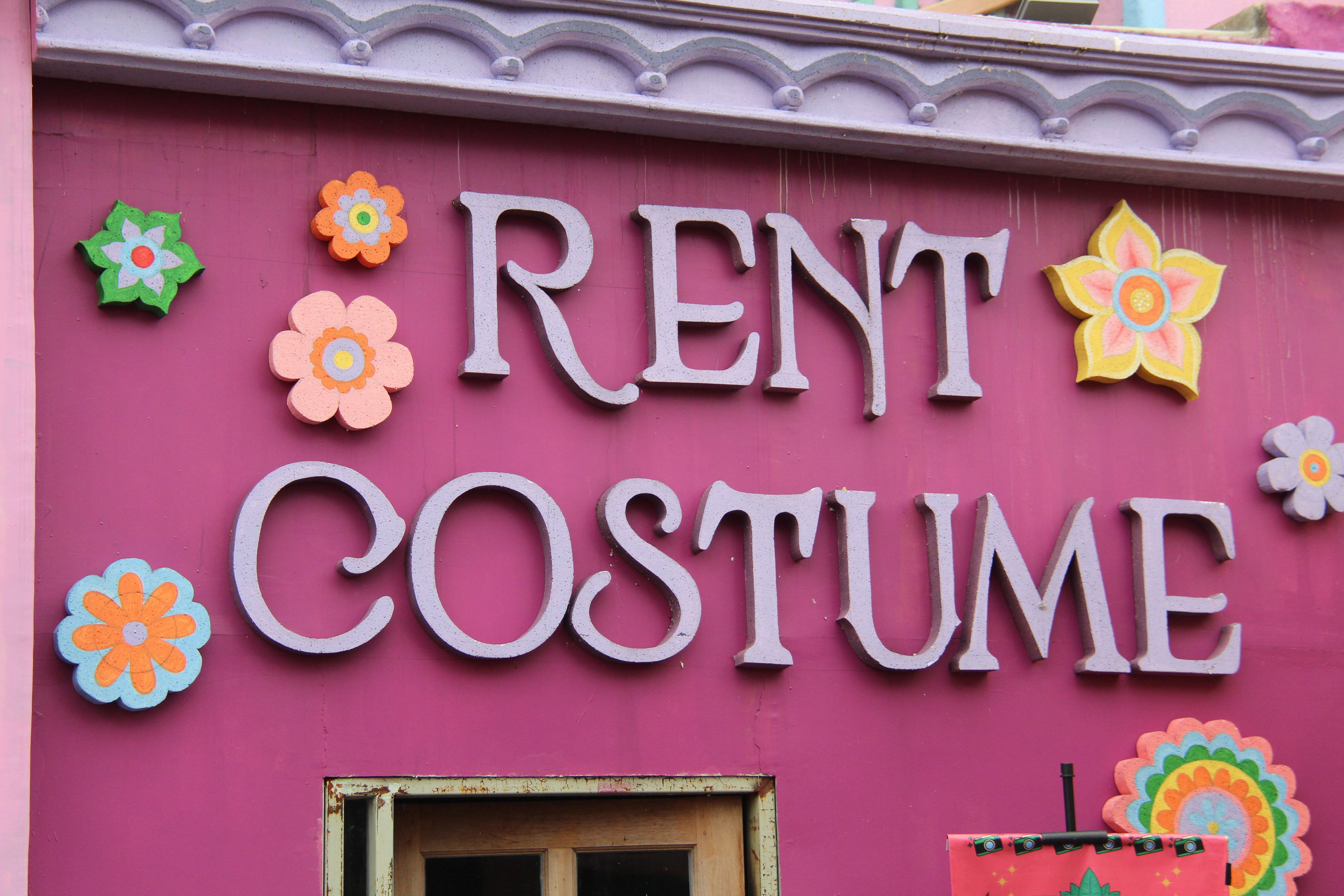 disney park experience