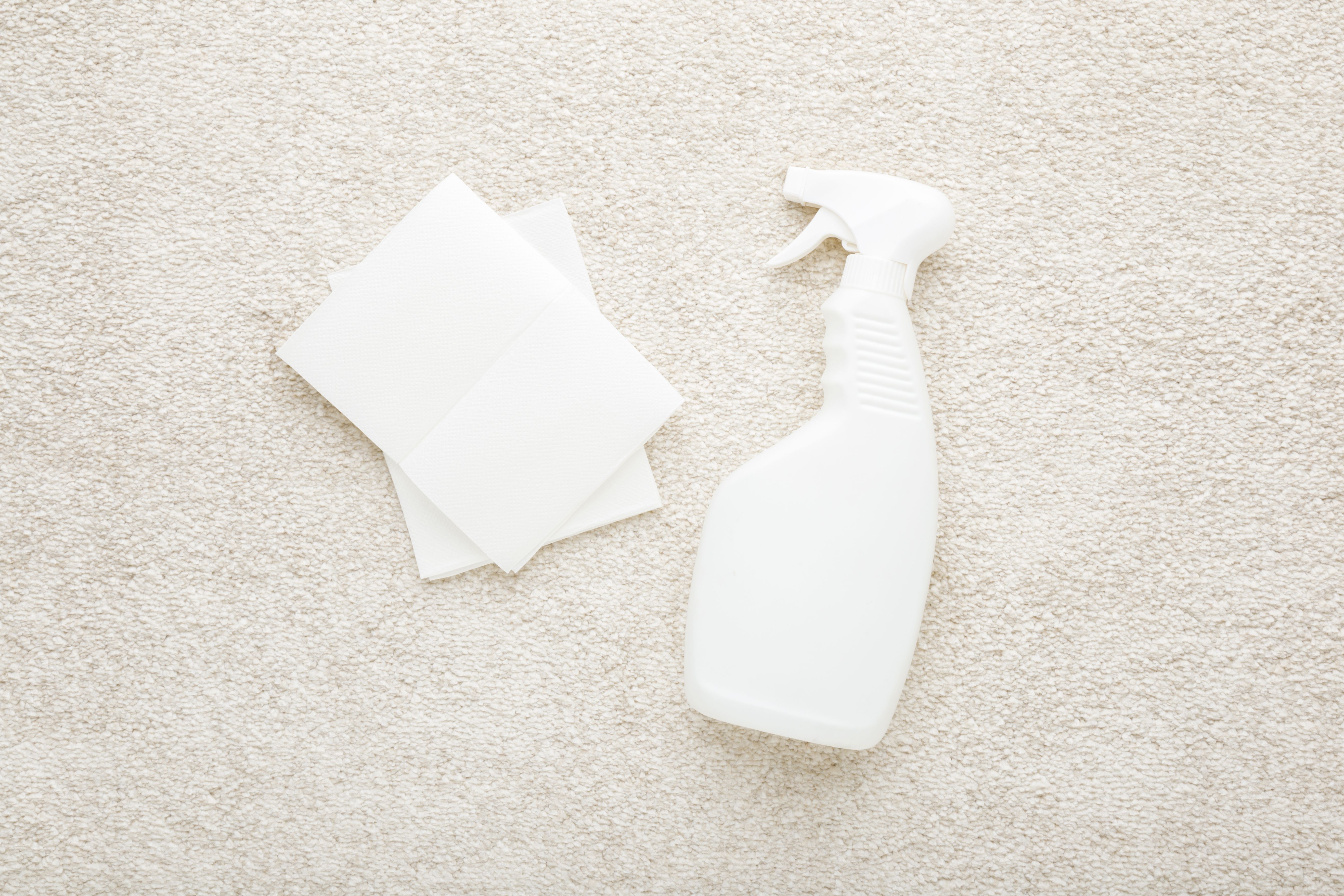 dry carpet