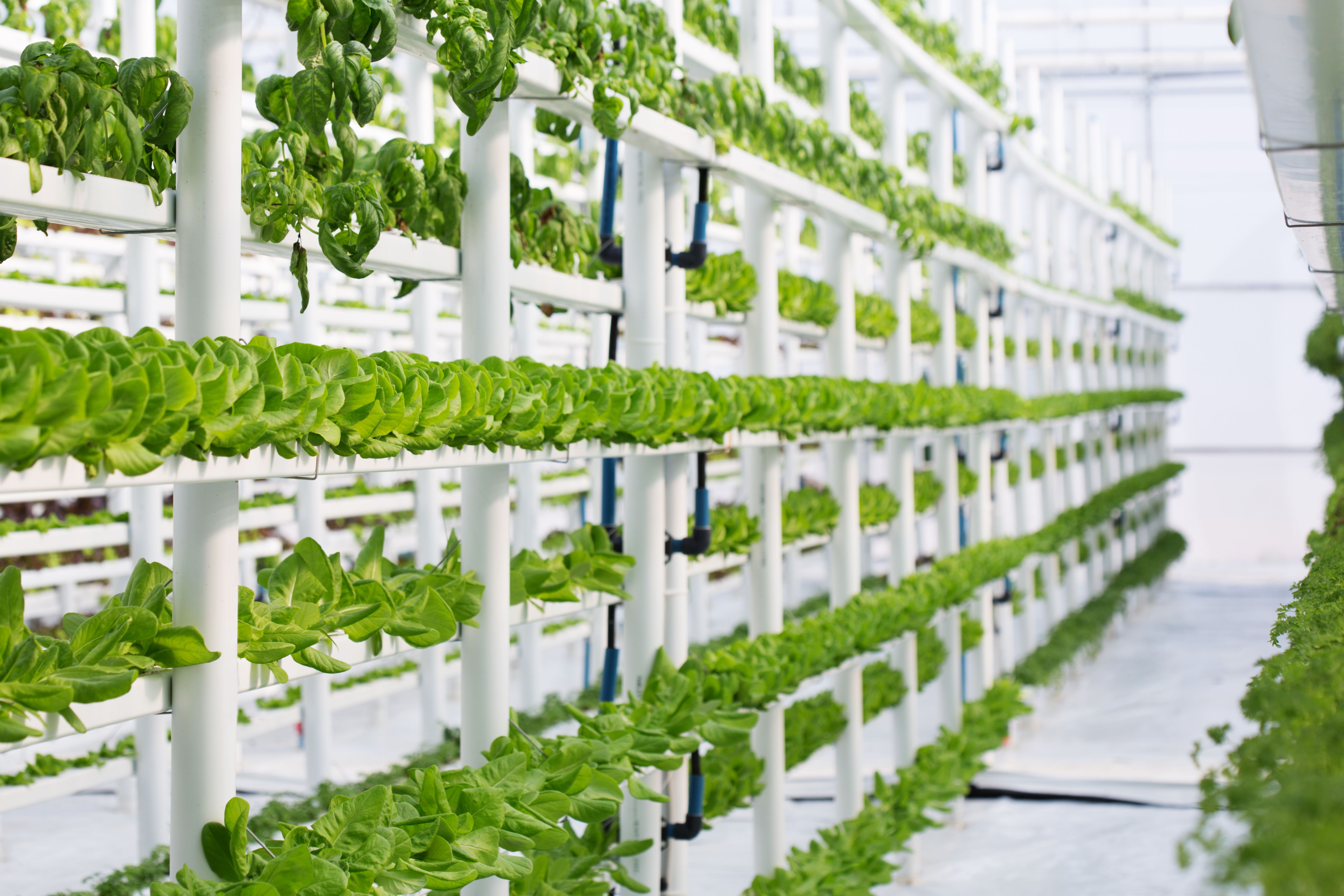 modern agriculture