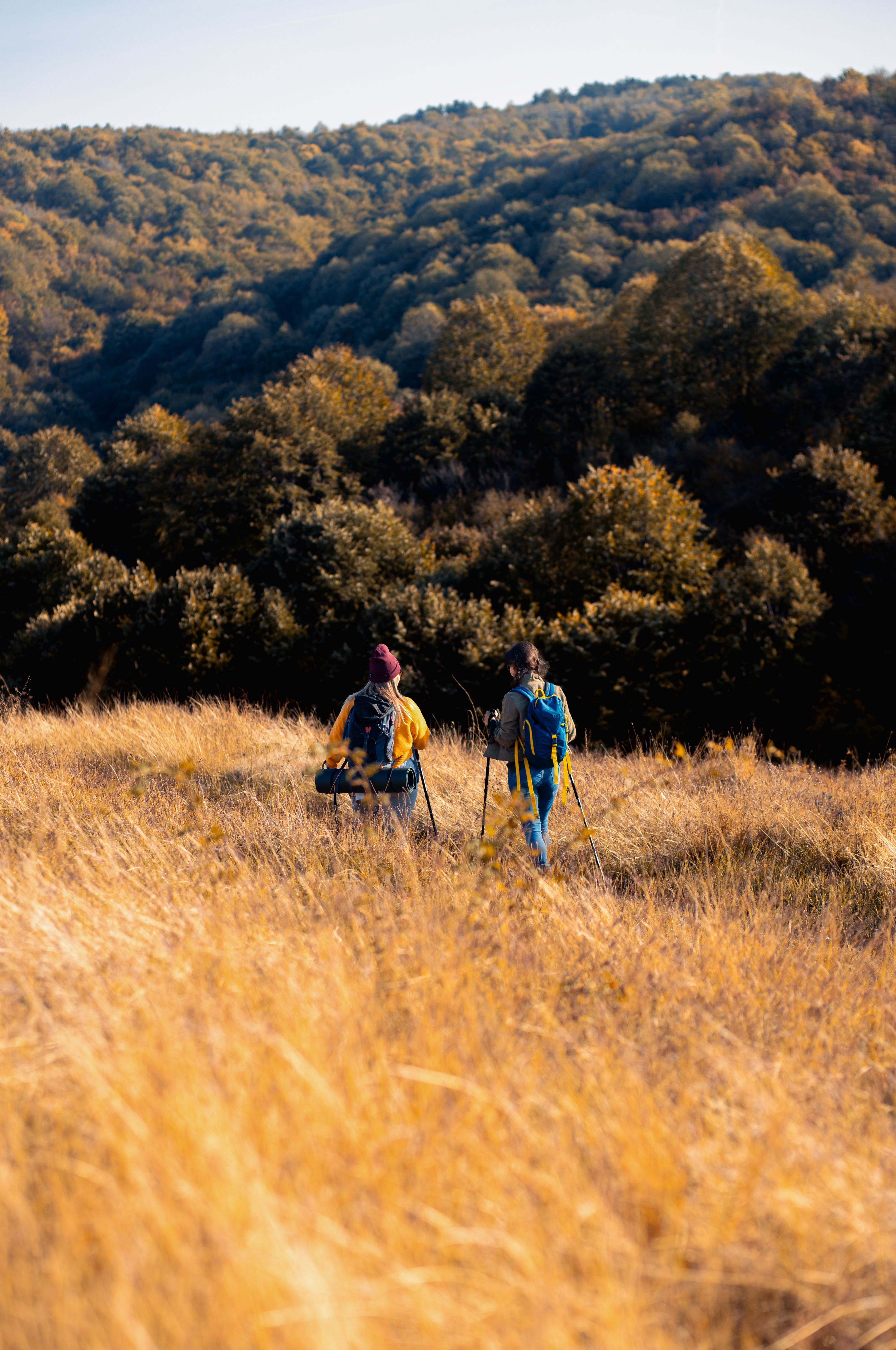 autumn hiking