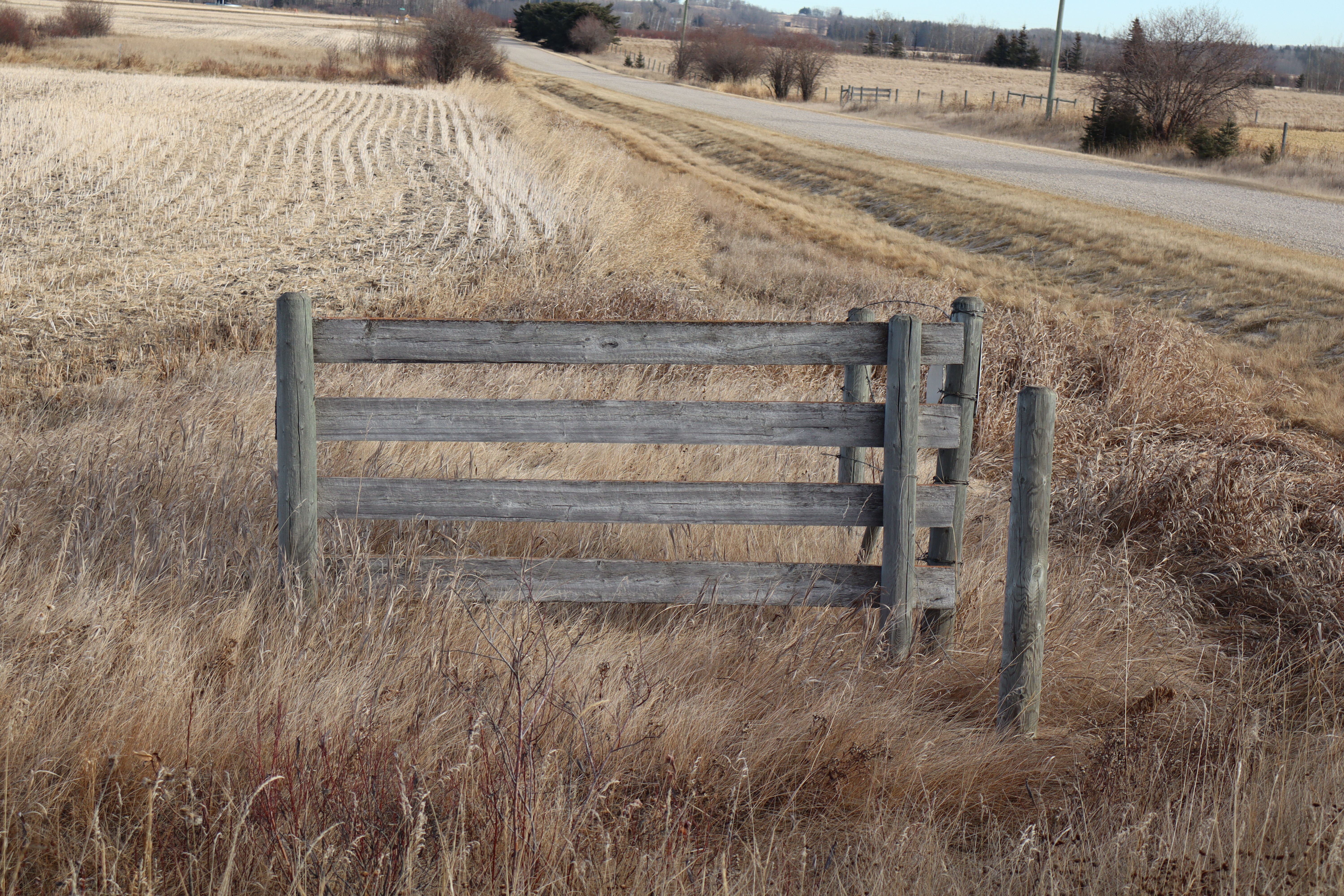 wood fence nature