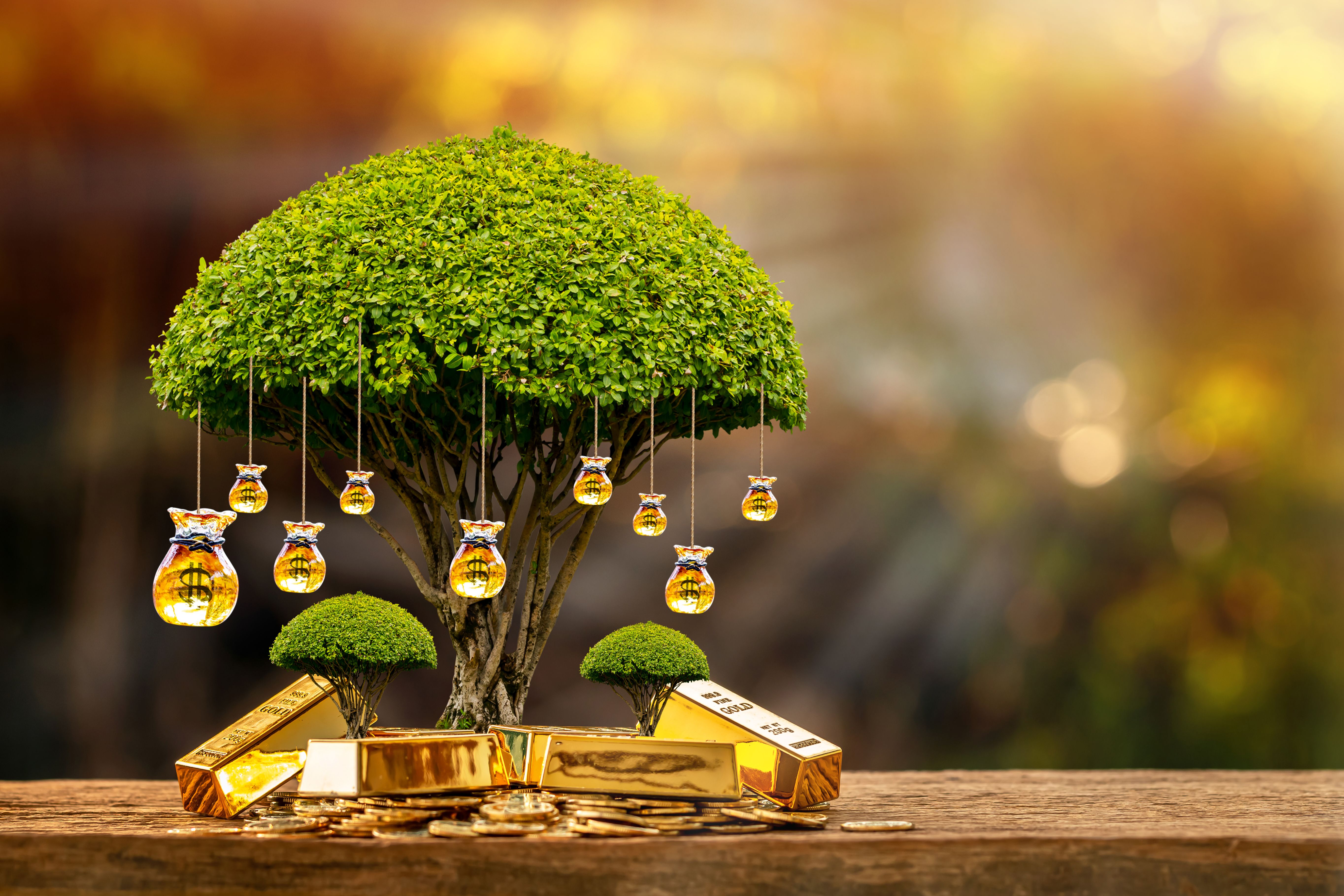 abundance prosperity