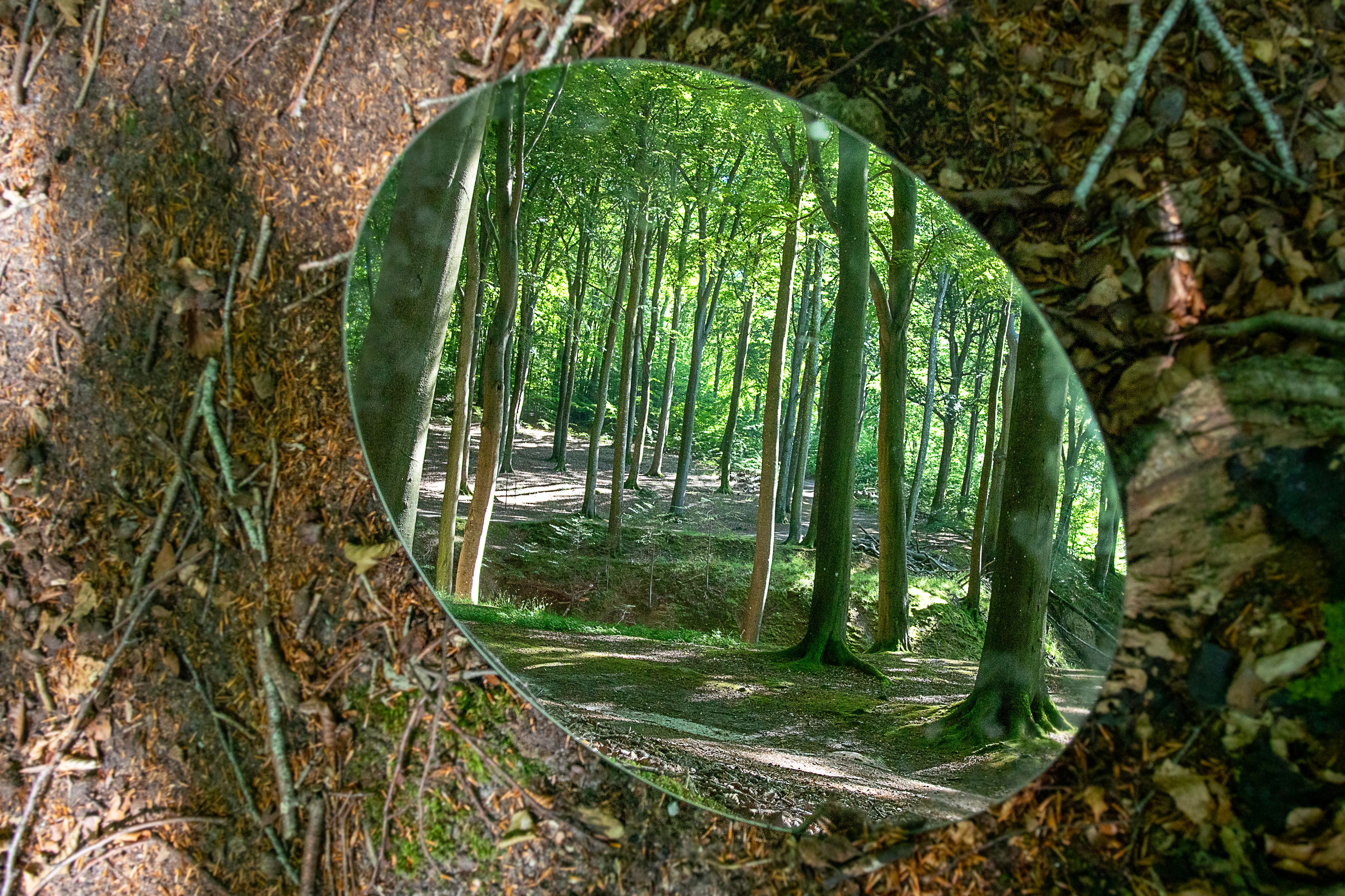 eco-friendly mirrors