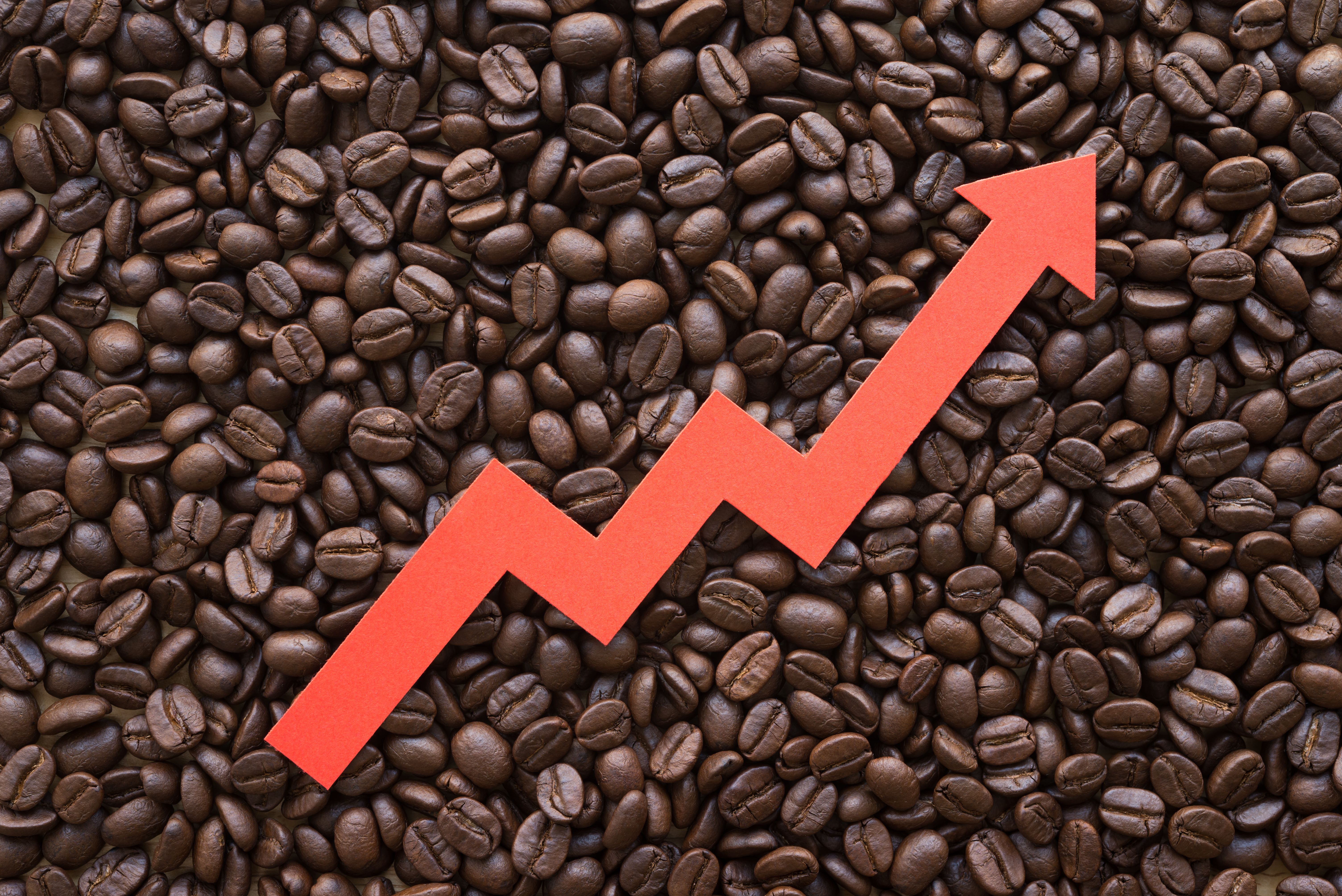 coffee beans price