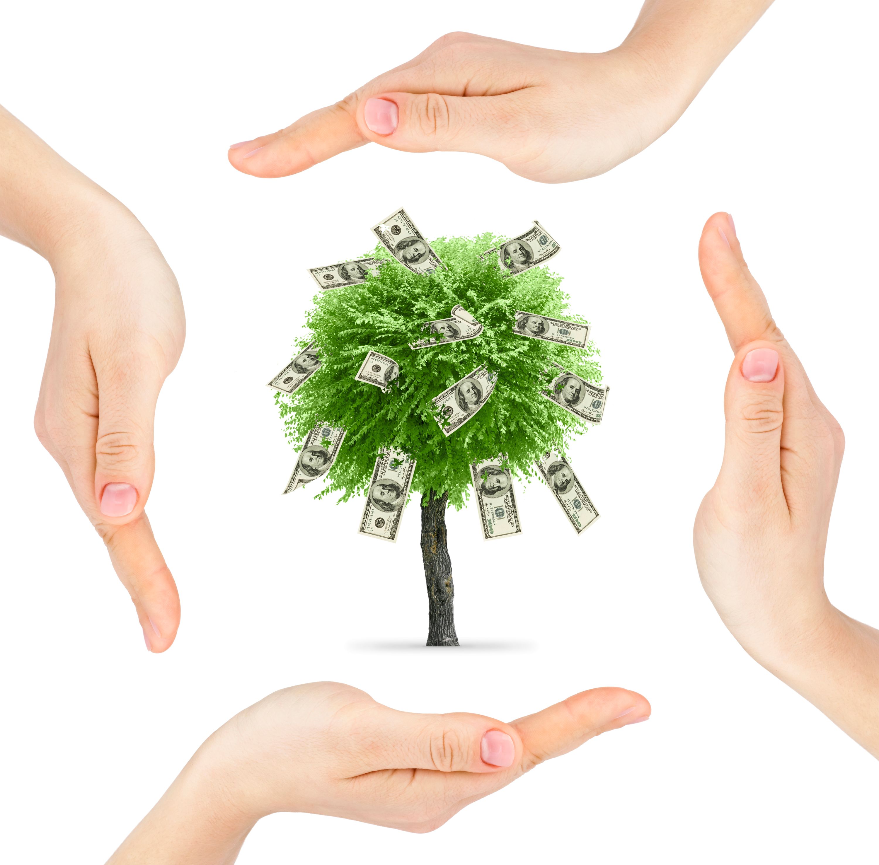 wake county investment