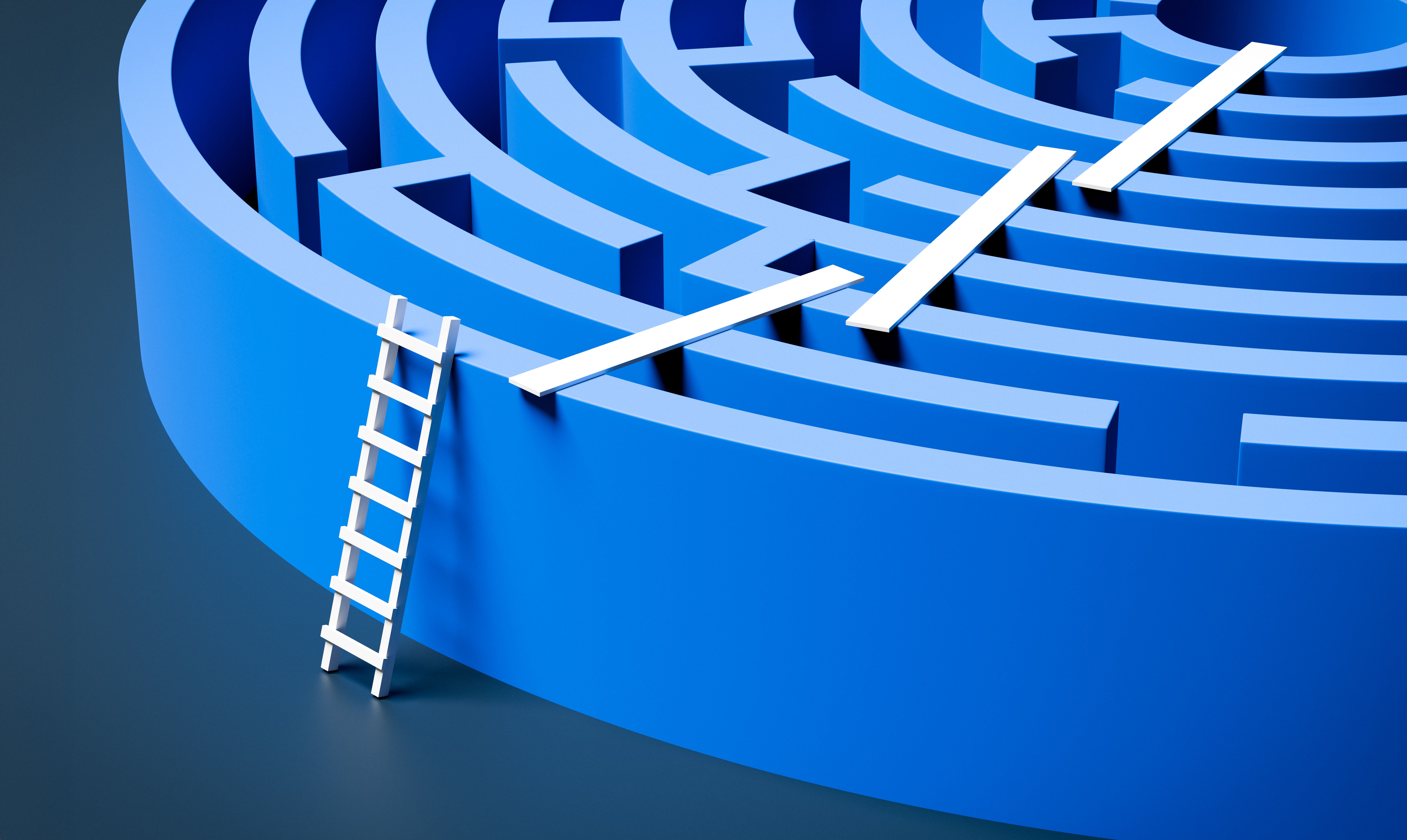 A ladder and planks on a round maze used to cheat the challenge