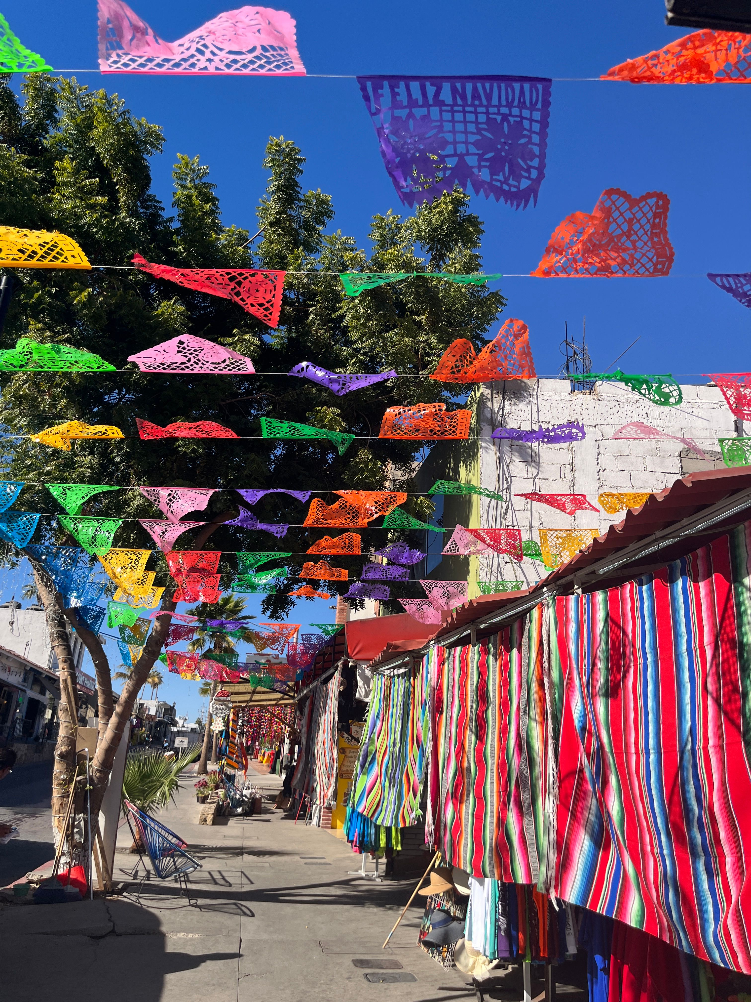 cabo san lucas festival