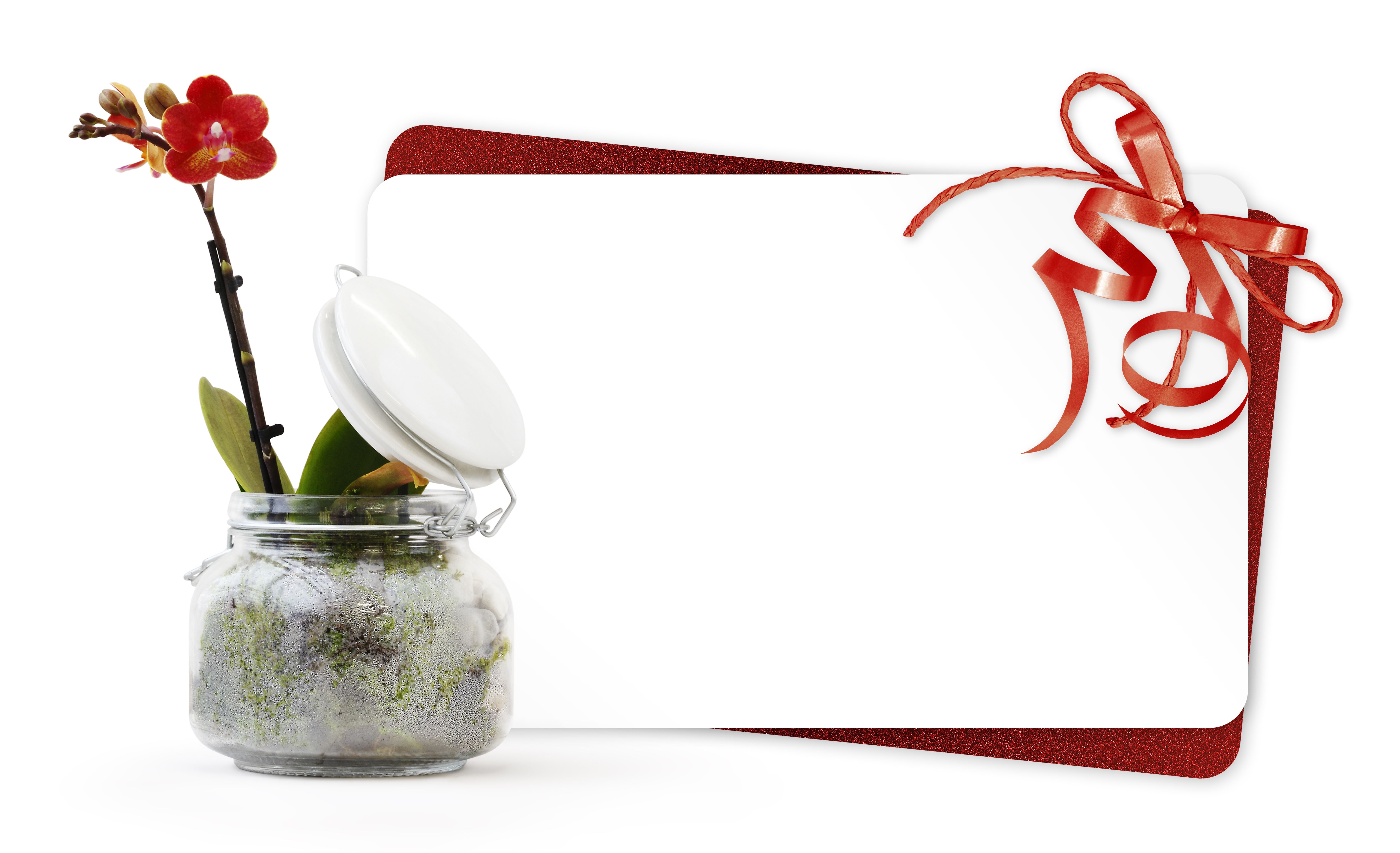 gift card hybrid