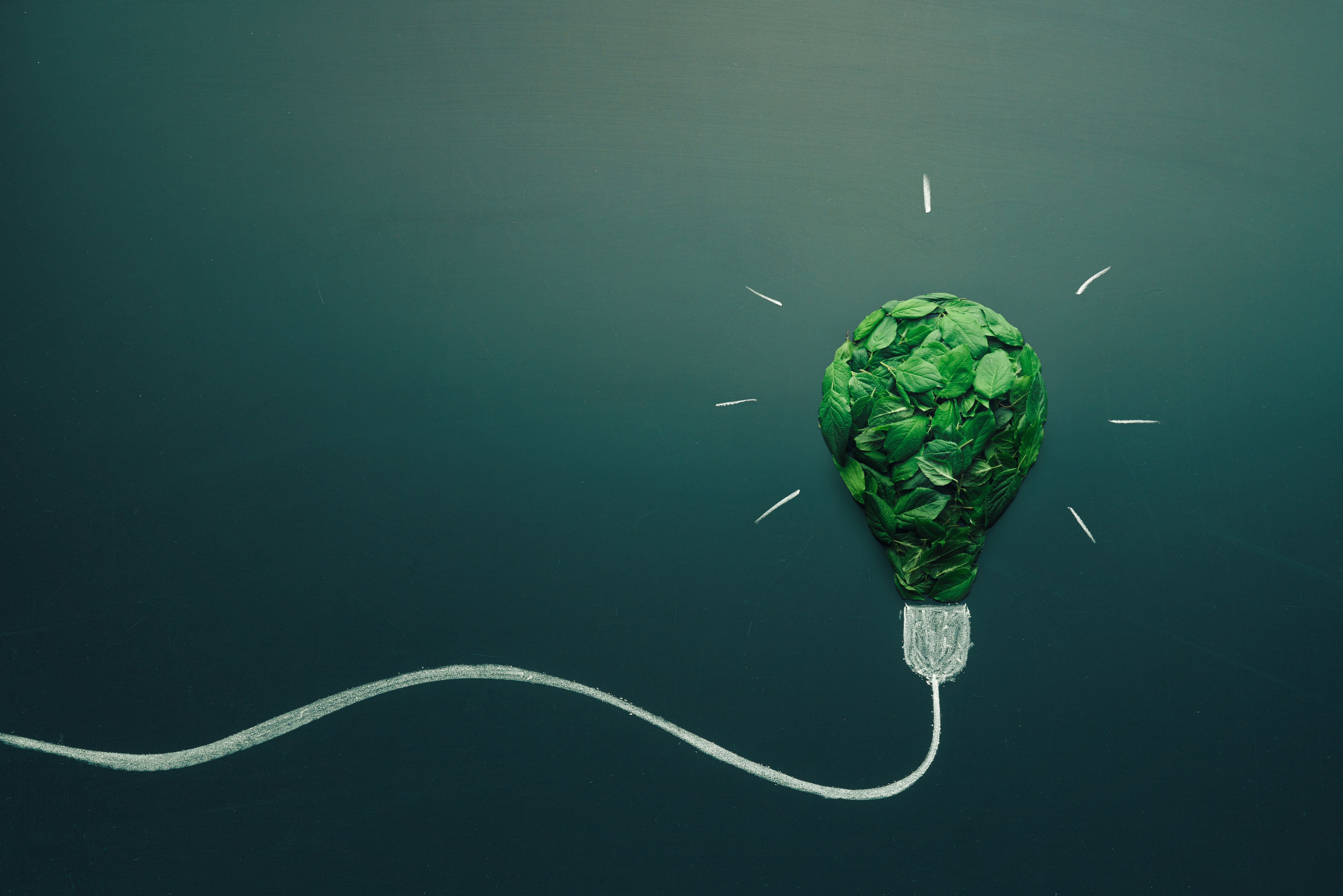 energy efficient bulbs