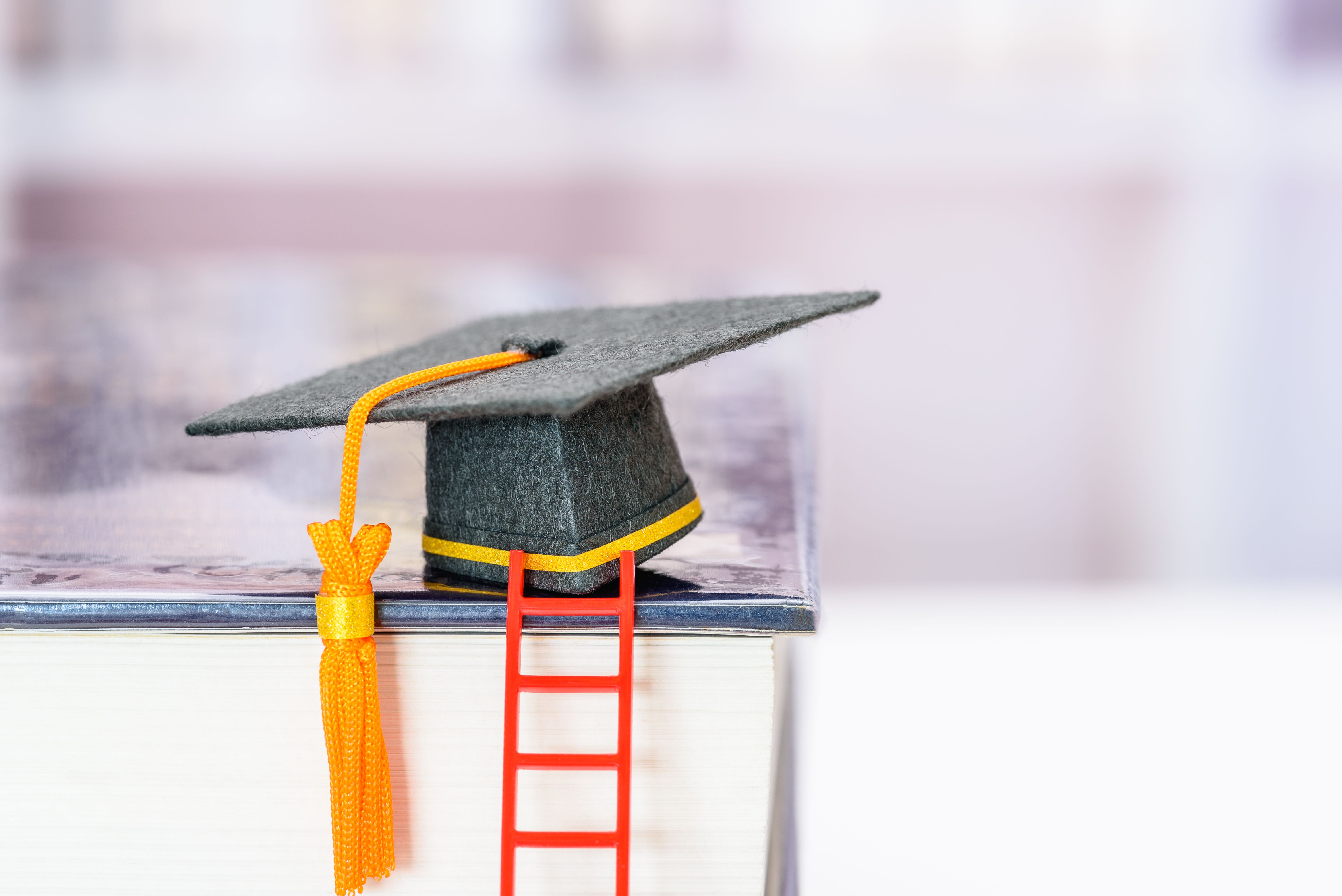 graduate application